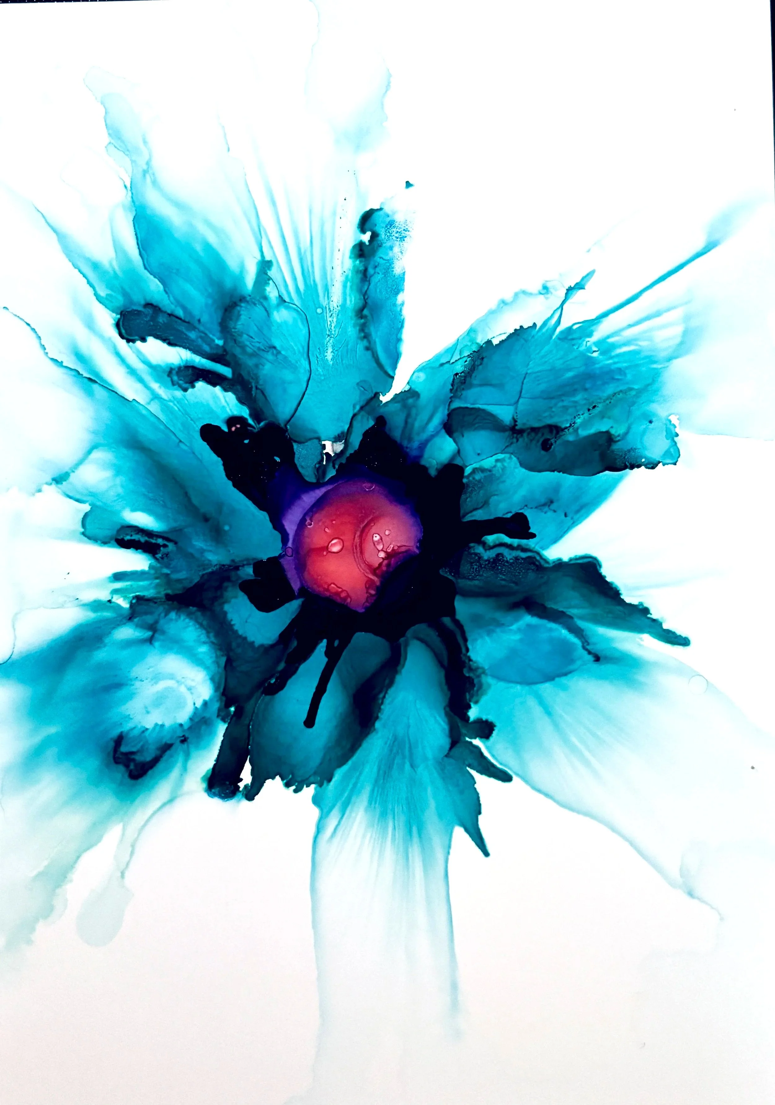 Abstract alcohol ink painting with blue, turquoise, black, and coral colors flowing outward from a central red and purple area on white background.