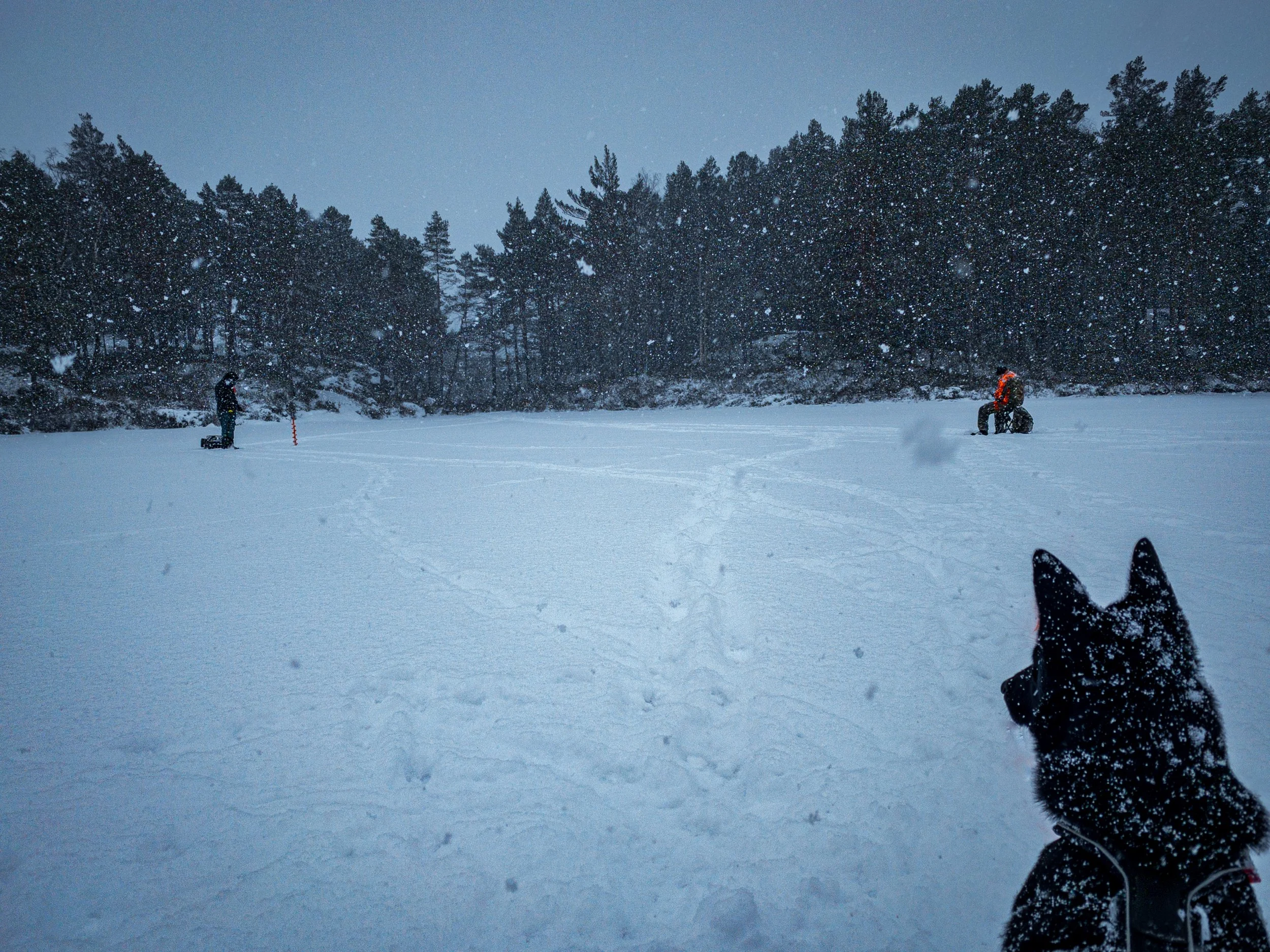 Isfiske på Grimevann.