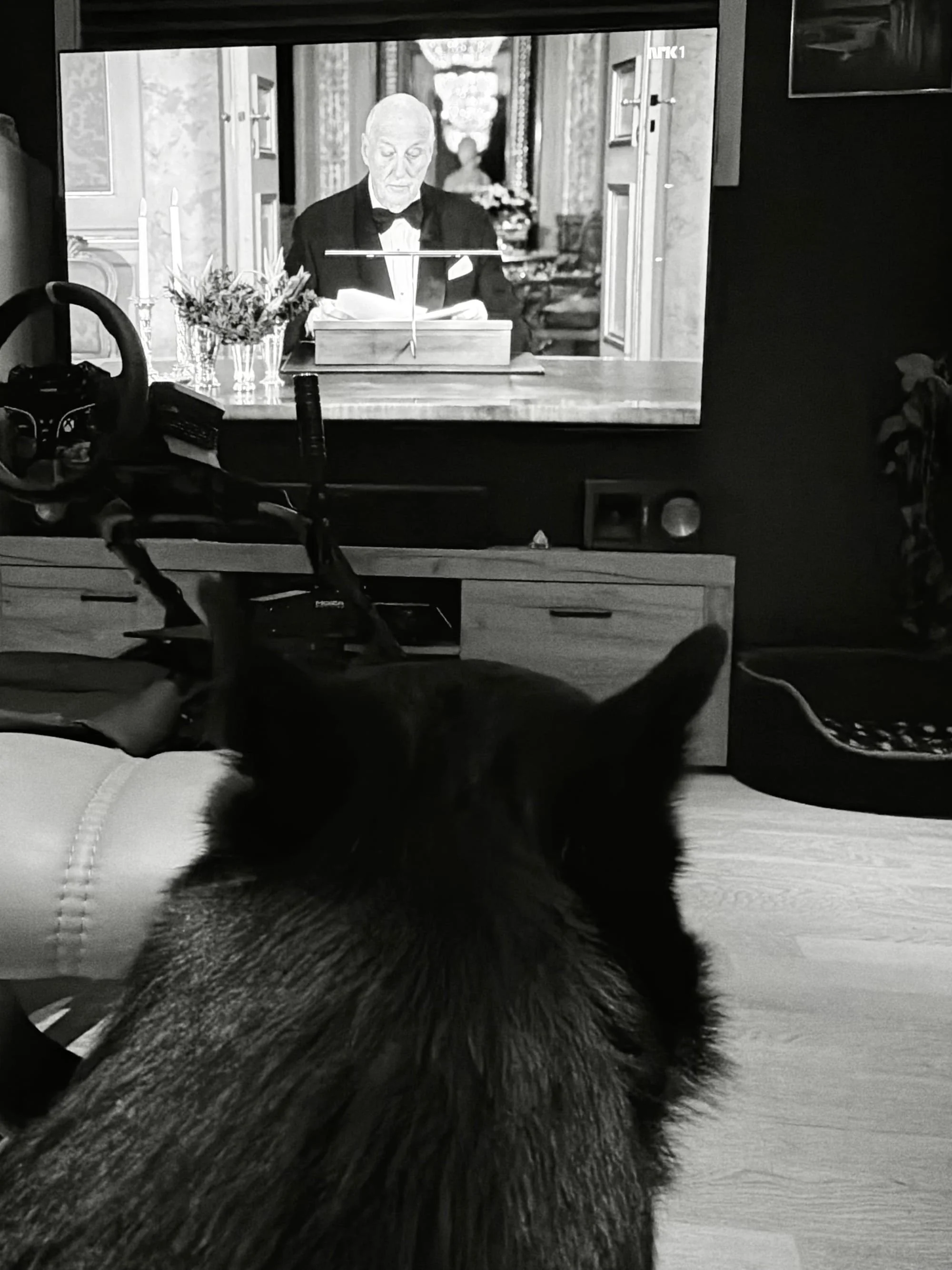 Godt Nyttår folkens 🐾🍾