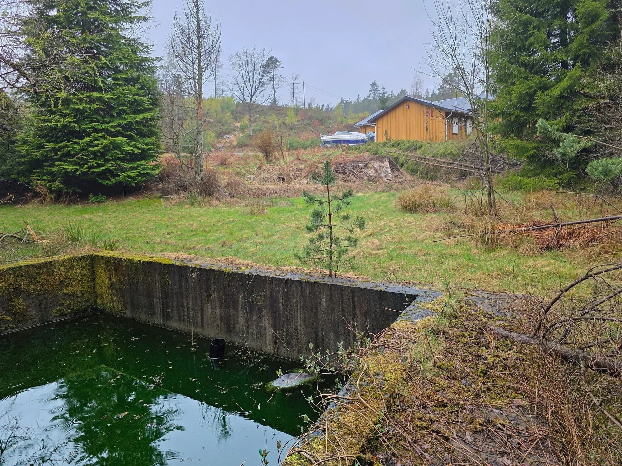 En farlig dyre felle i Lillesand!