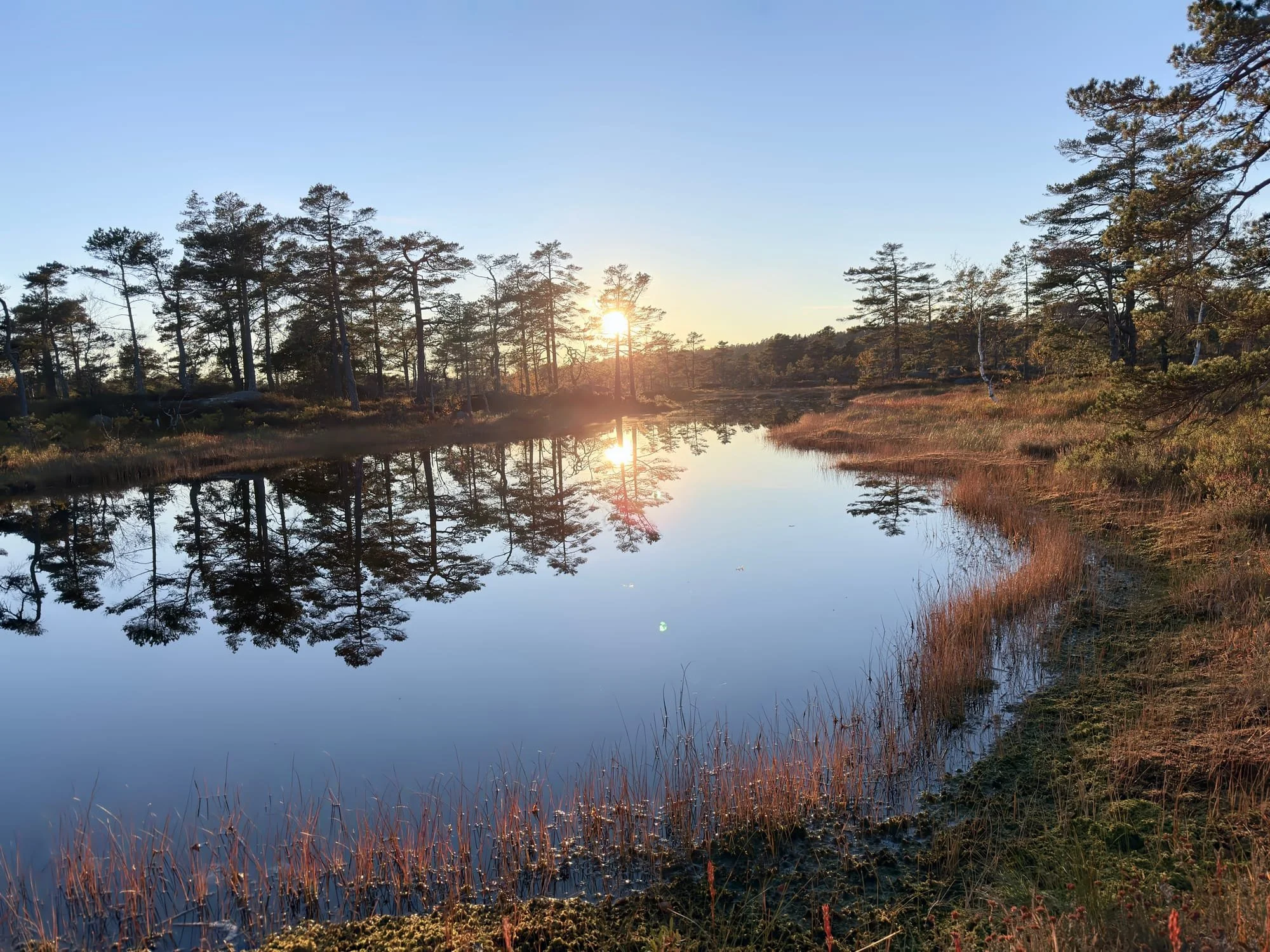 Olandshei i slutten av september.