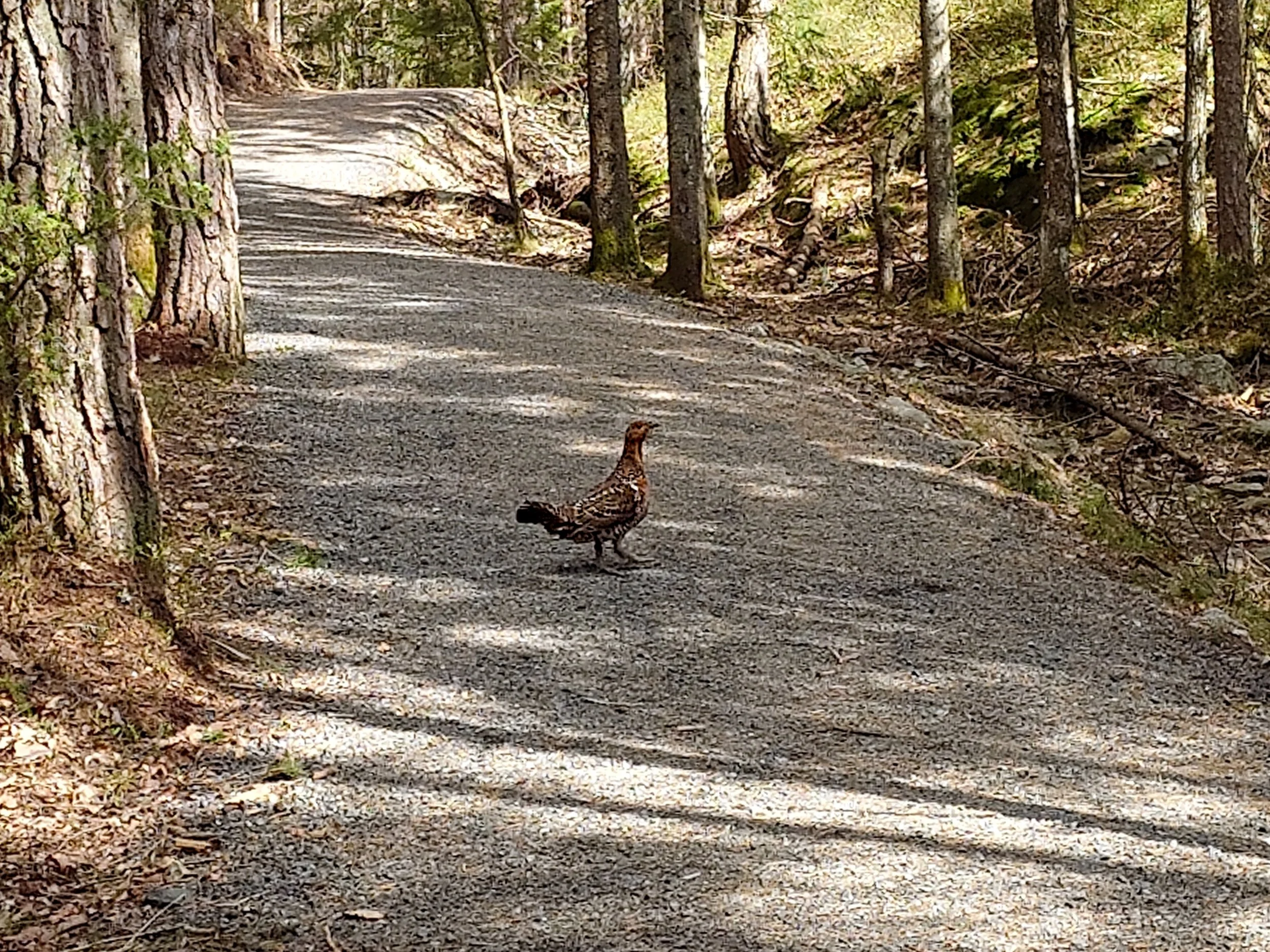 27.04.2024 Søndag / Lillesand