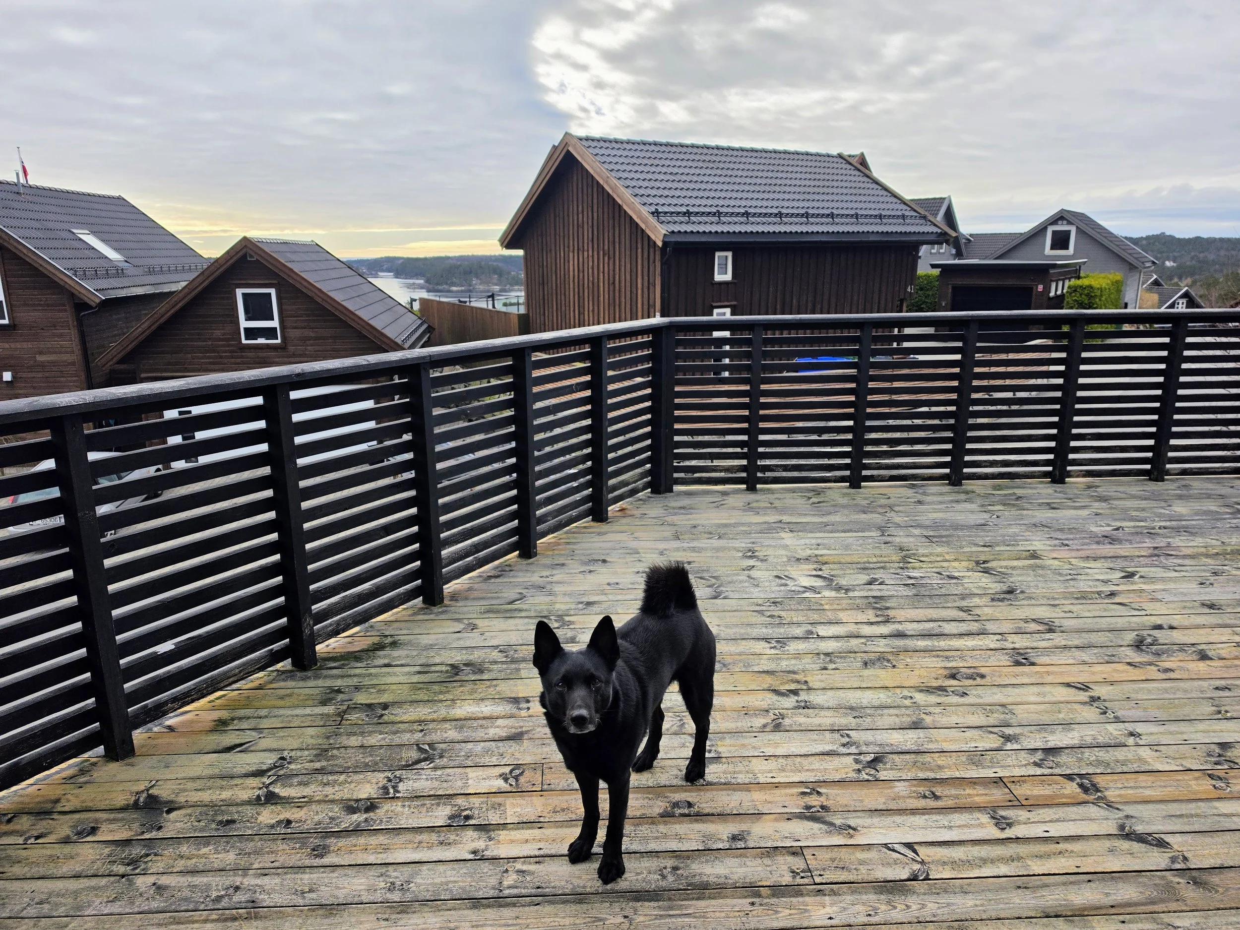 2026-04-03 - Fredag, Lillesand