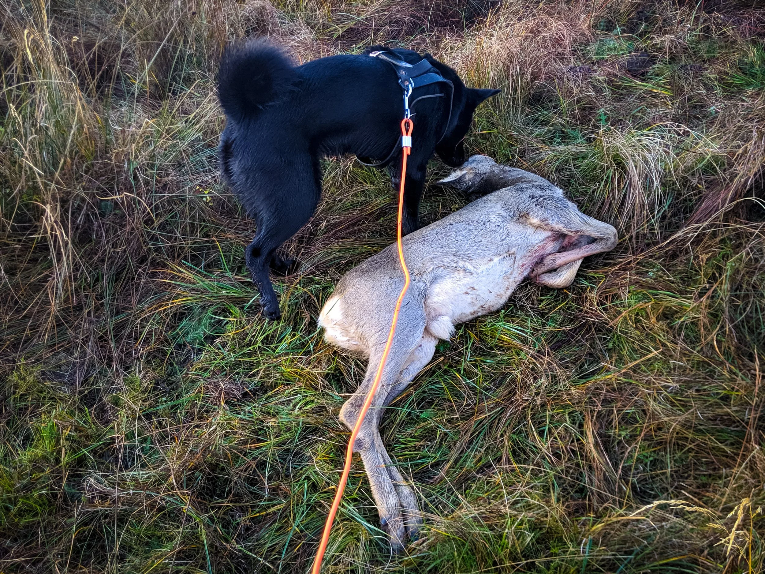 12–13 Oktober 2019 / Karmøy