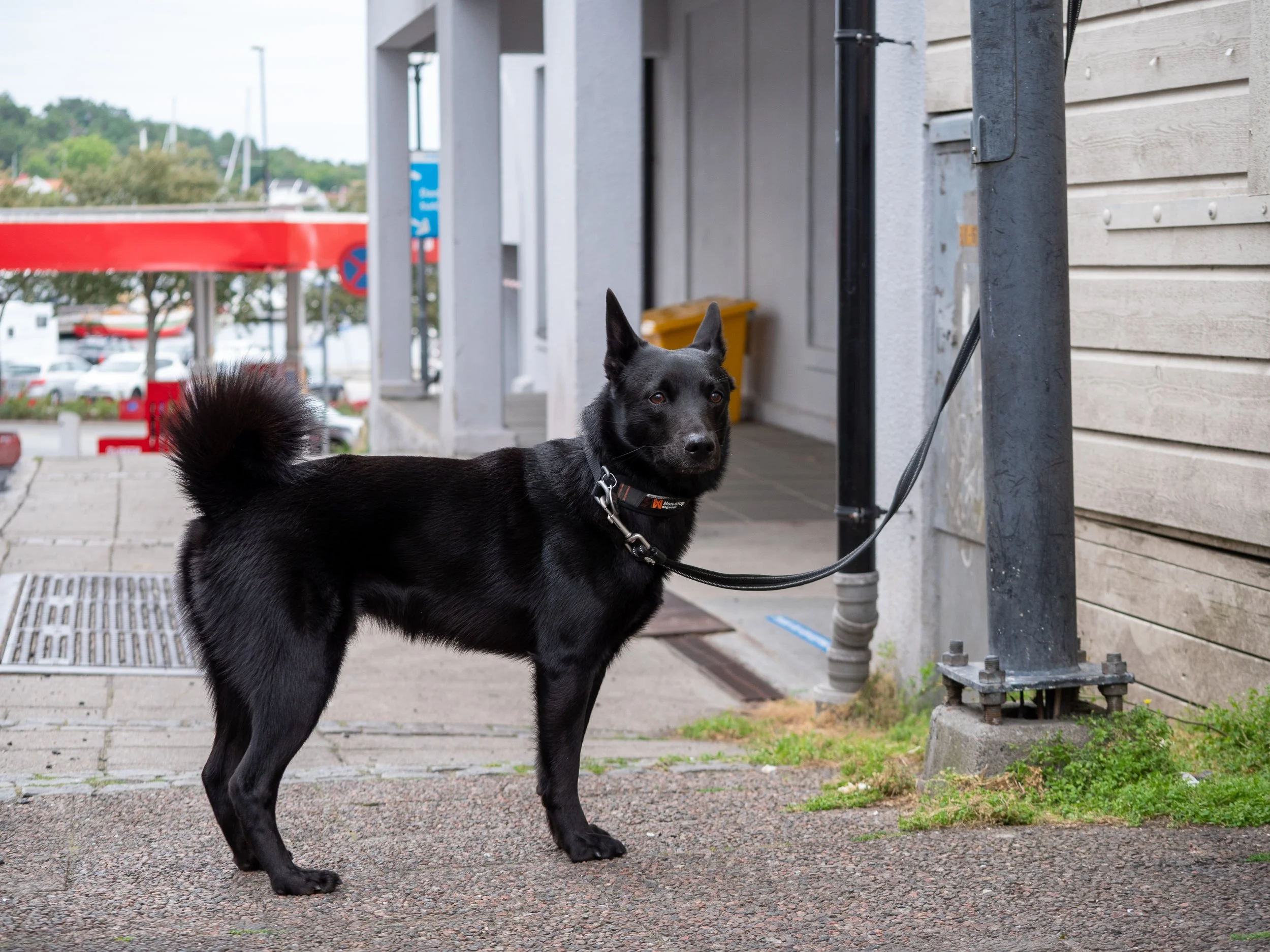 Båndtvang, respekter den.