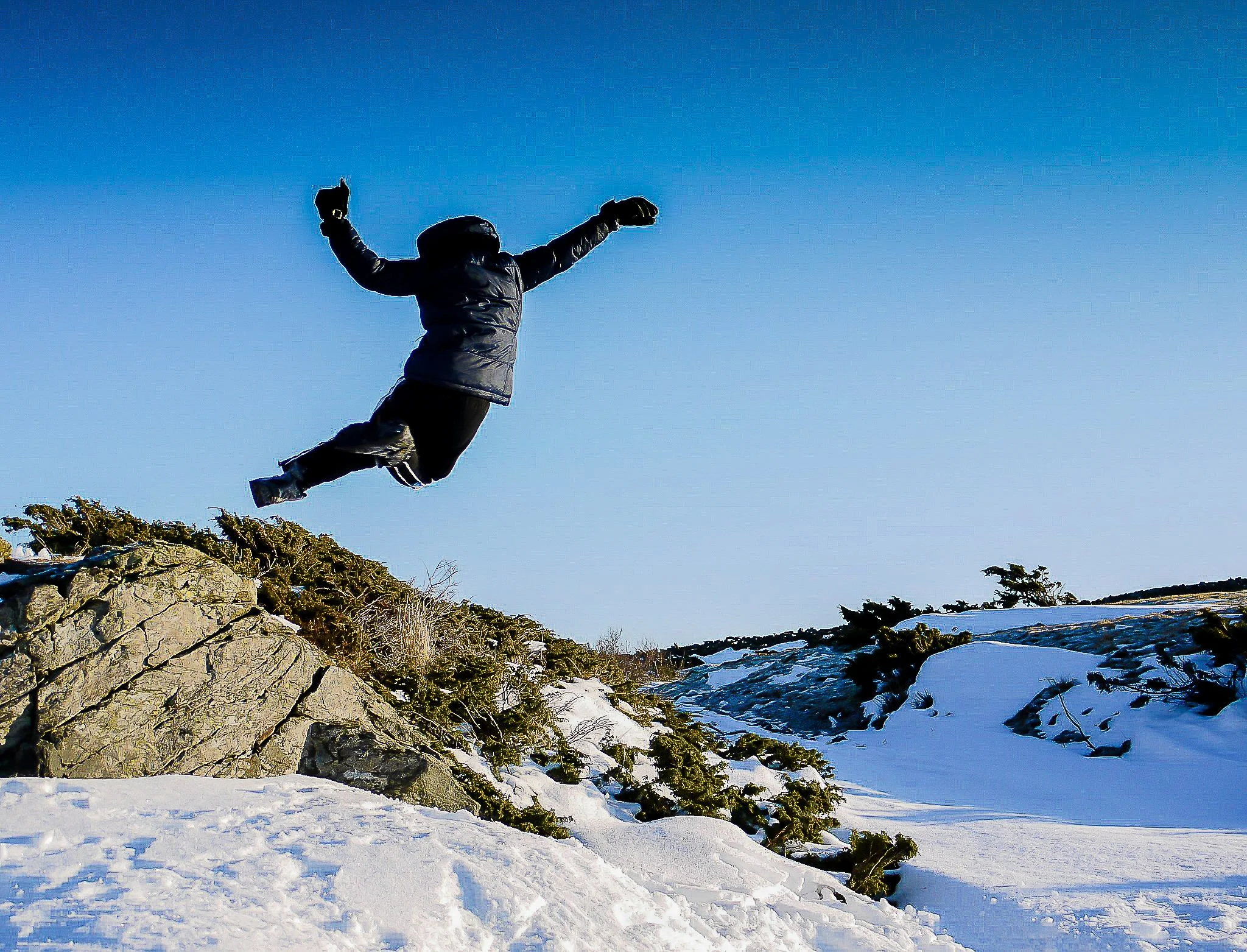 169699_487992667970_565117970_6010936_1998106_o (1).jpg