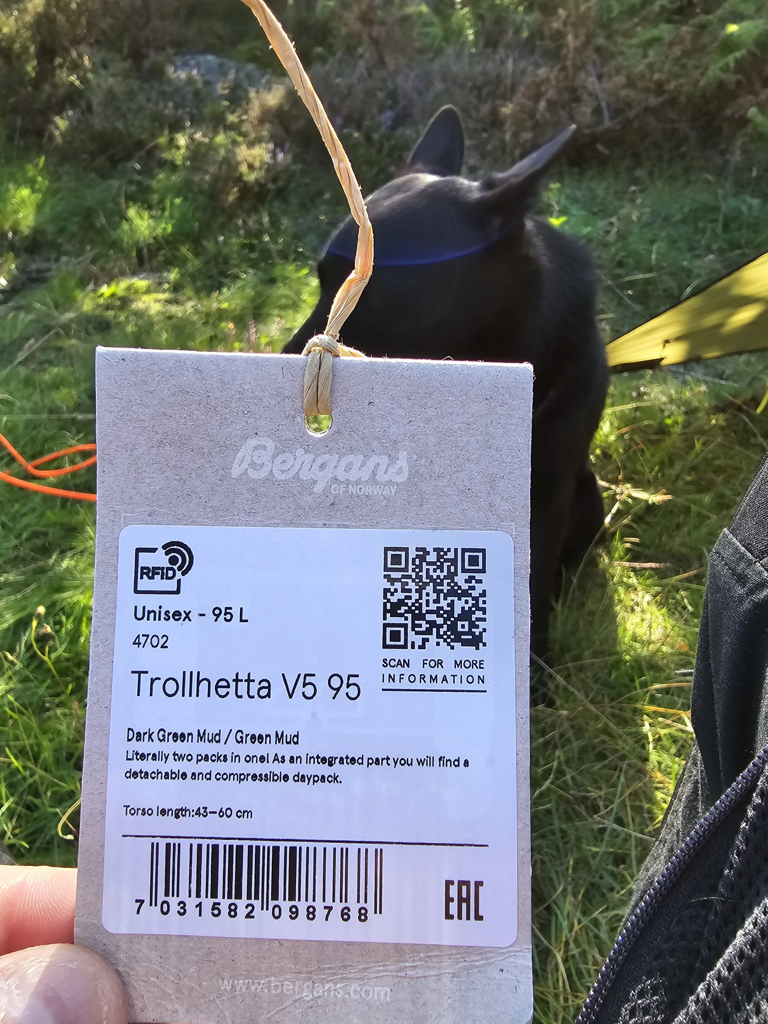 Bergans Trollhetta V5 95 L