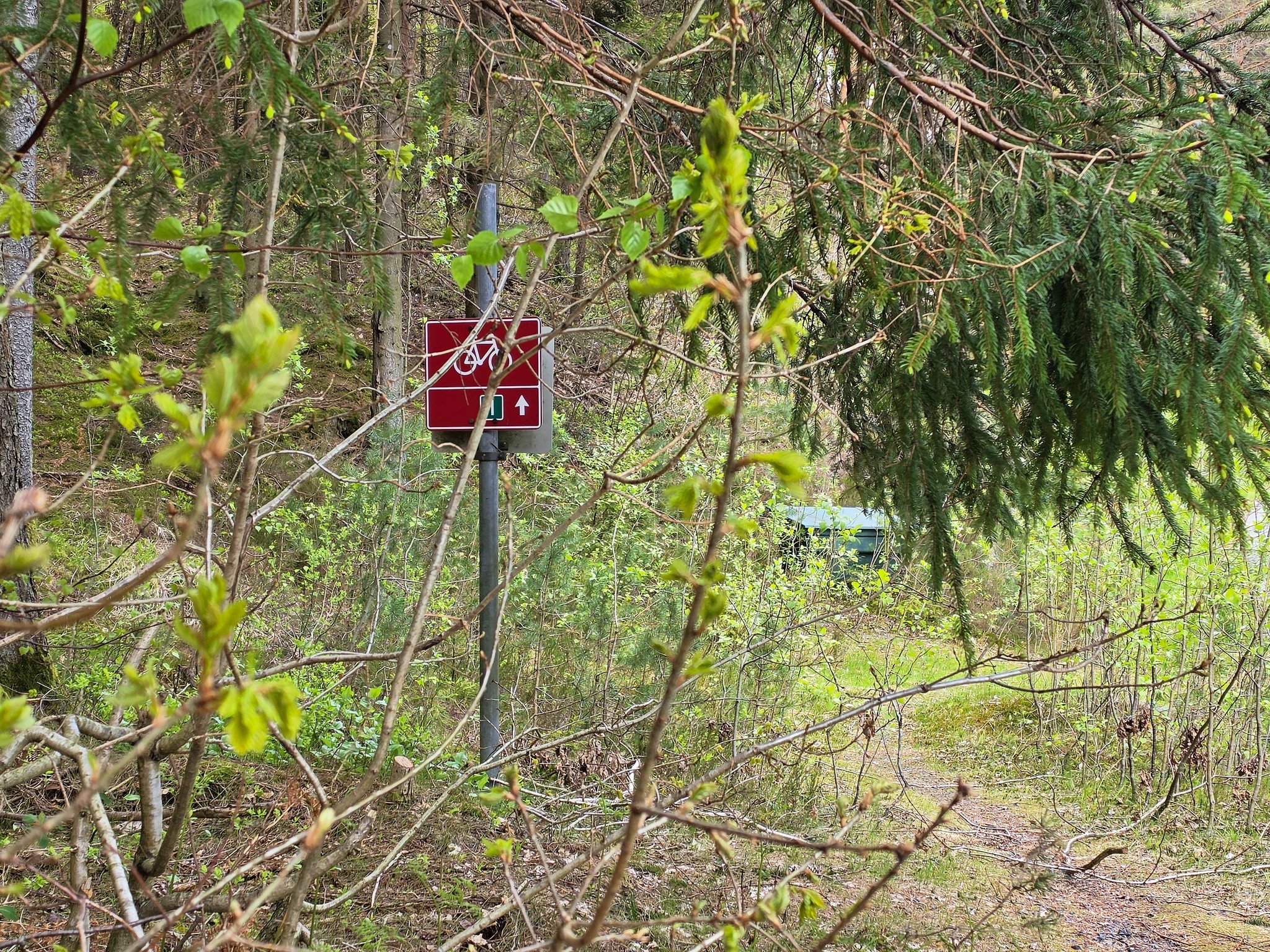 2026-05-11-20260511_145408_DxO
