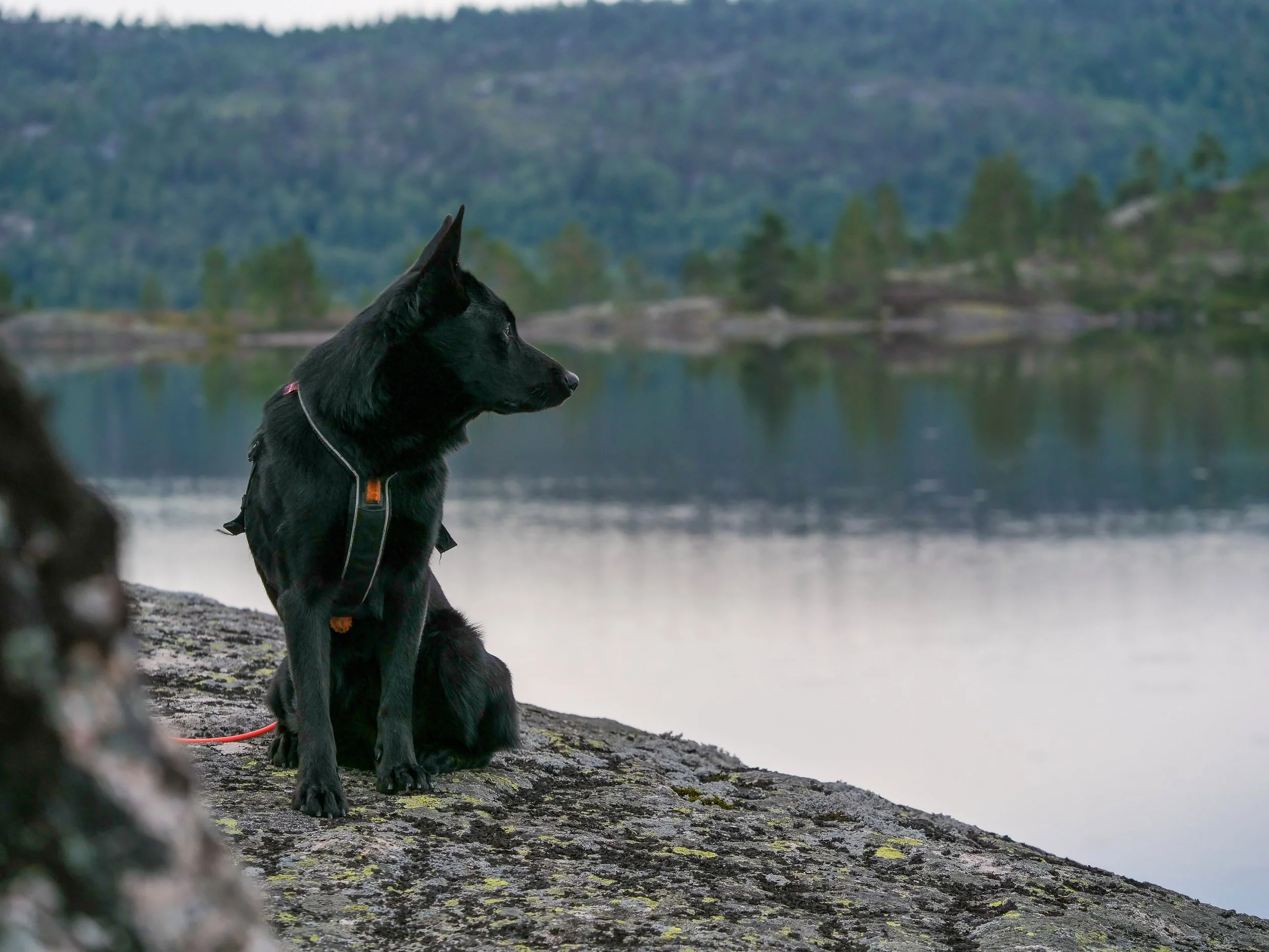 2020-08-08 -1208.jpeg