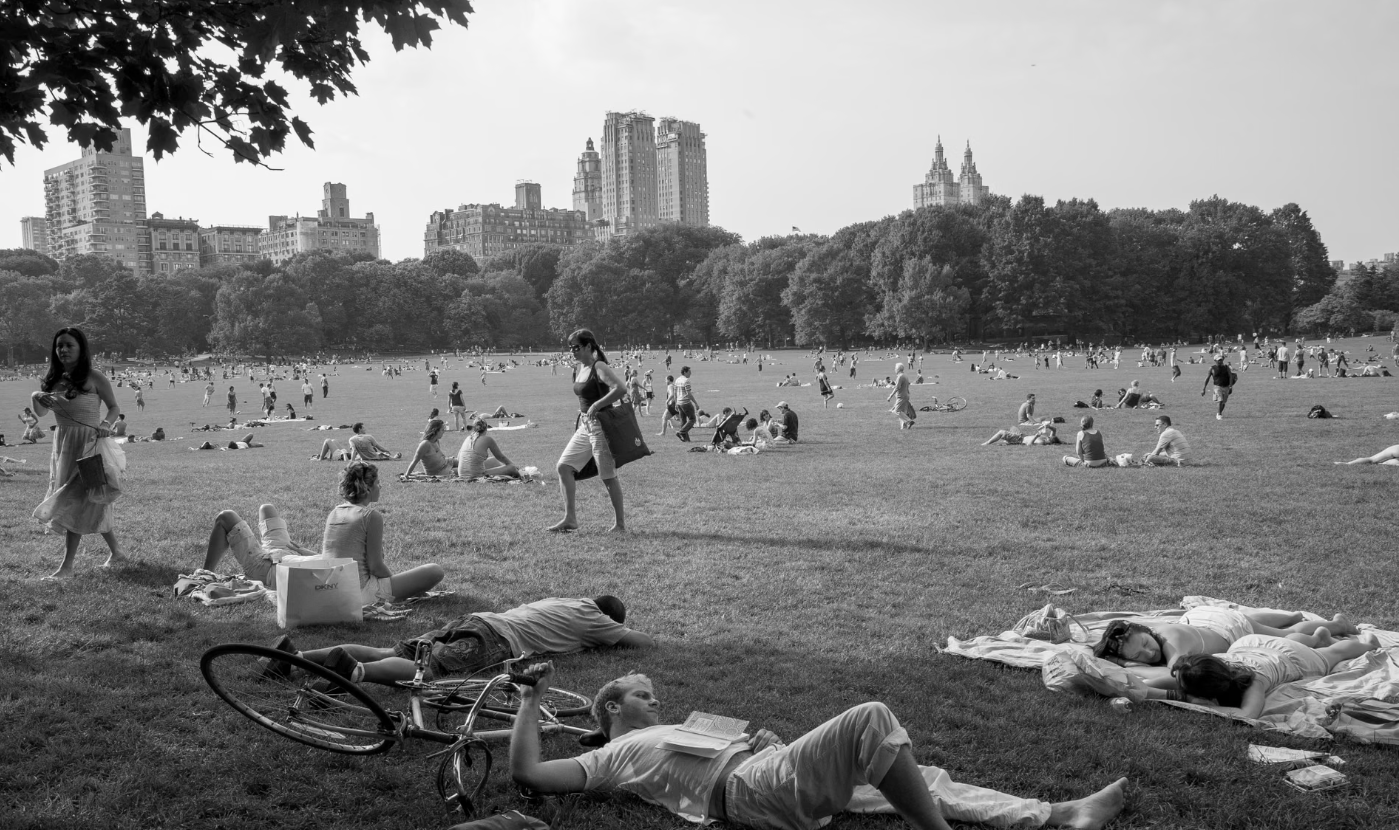 What Actually Shapes Brain Health as We Age