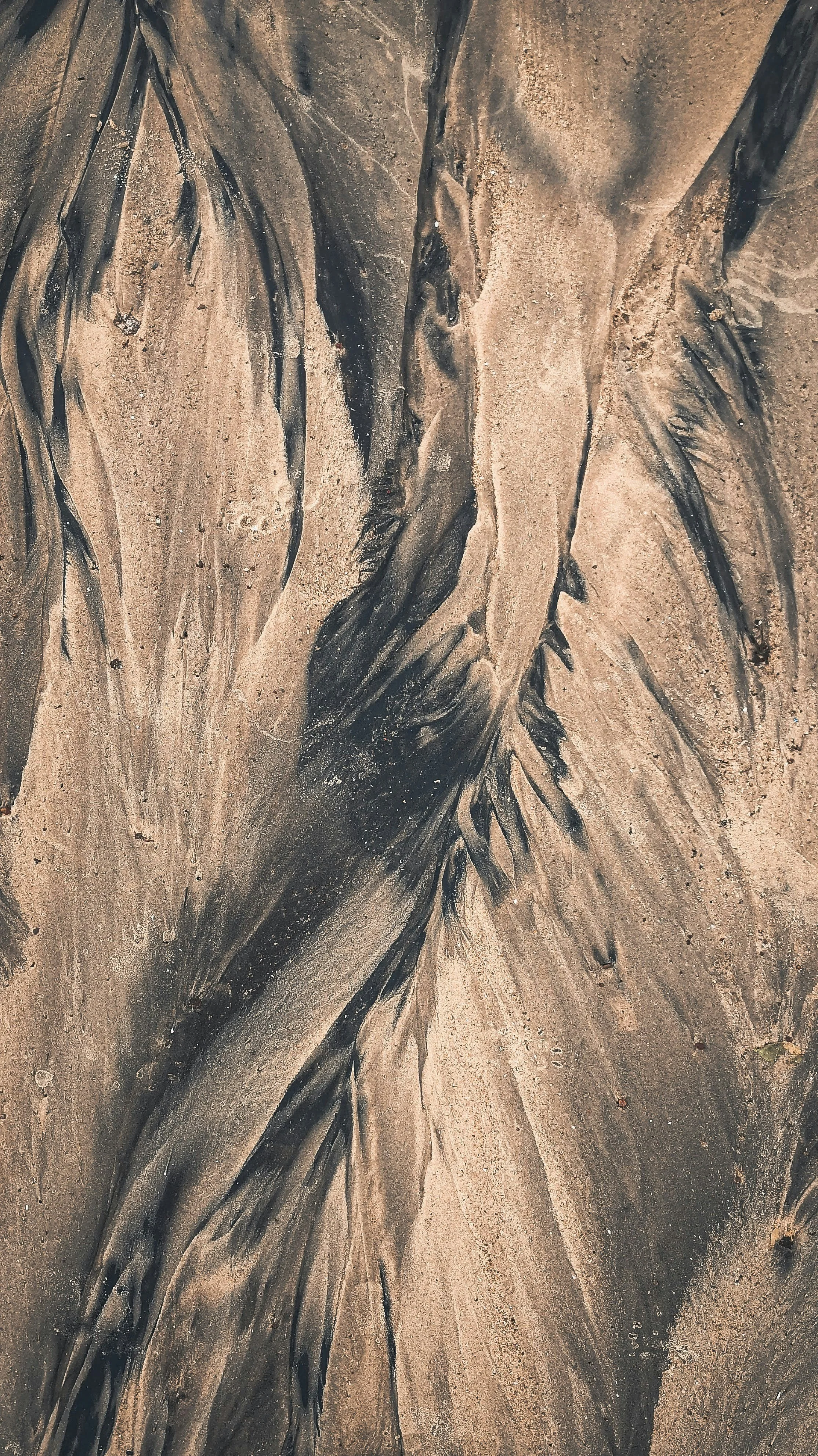 Omega-3 Index Explained: What This Blood Test Reveals About Heart Health