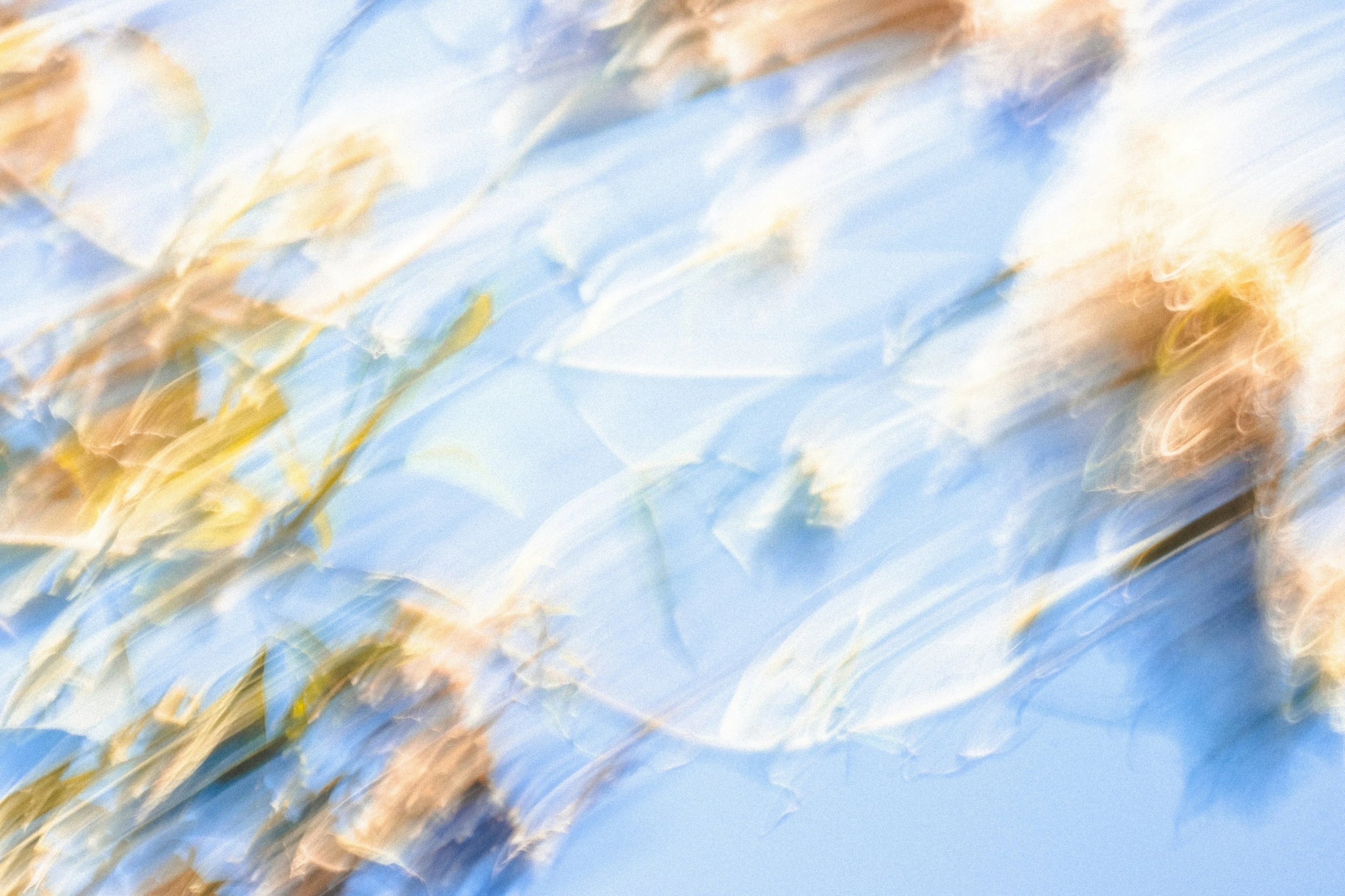 ApoB Explained: What This Cholesterol Marker Can Tell You About Heart Health