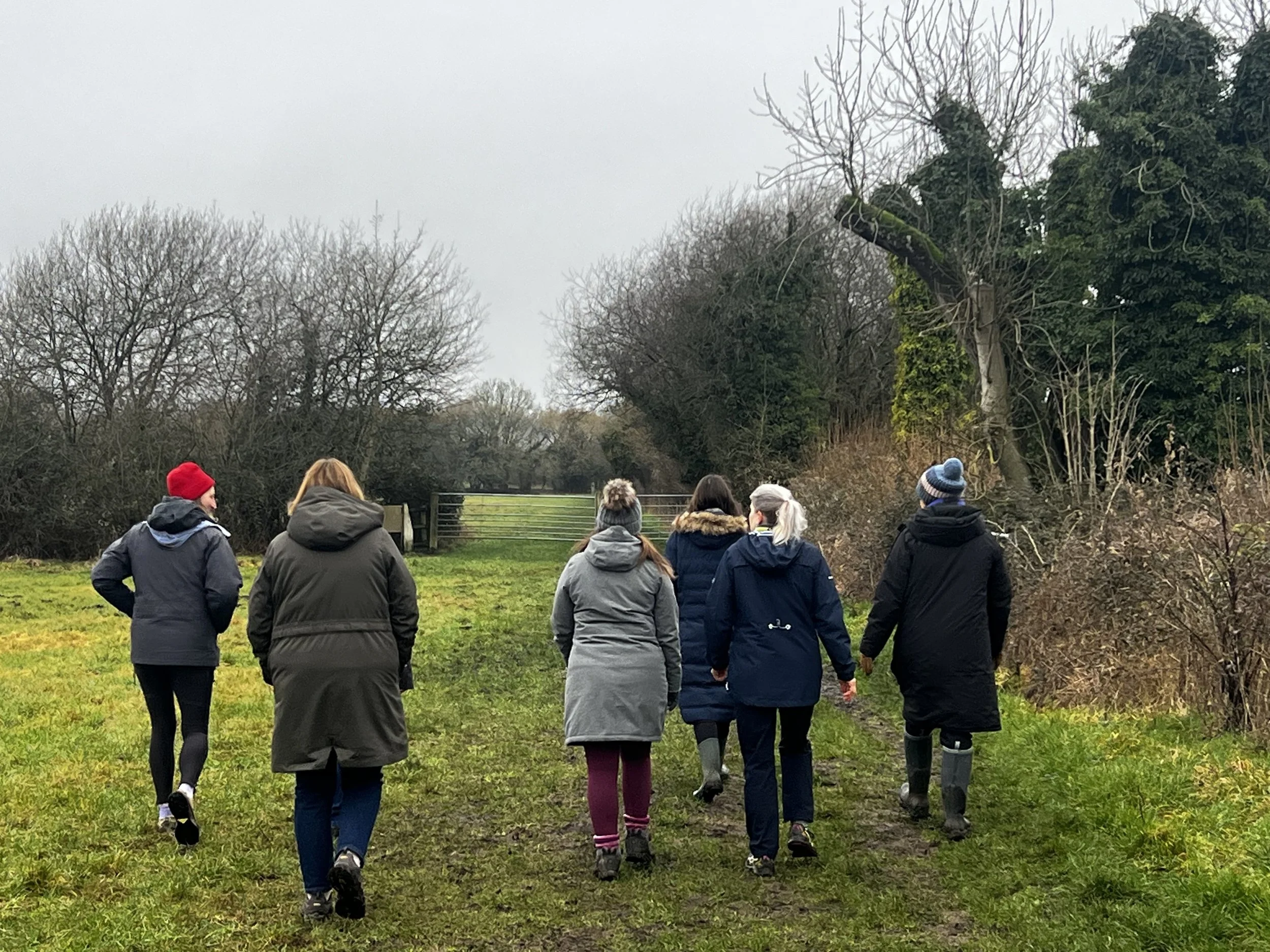 Group of seven people walking on a grassy trail through a park or nature reserve on a gray, overcast day, wearing winter coats and hats. Walk, Connect, Reset.