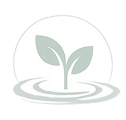 A green plant with two leaves growing out of water