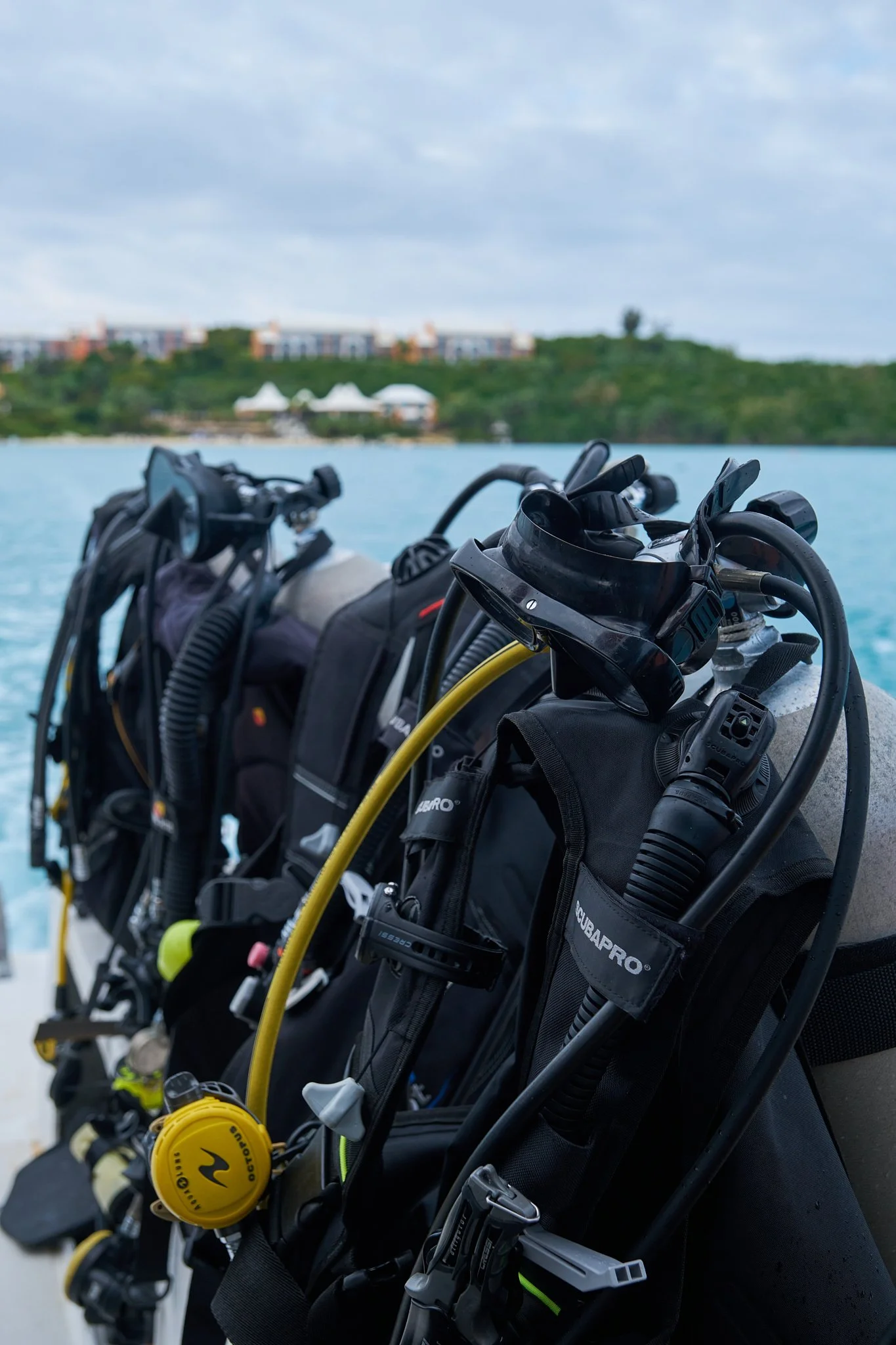A row of scuba diving equipment including tanks, regulators, masks, and wetsuits, set against a backdrop of water and a distant land with trees and buildings.