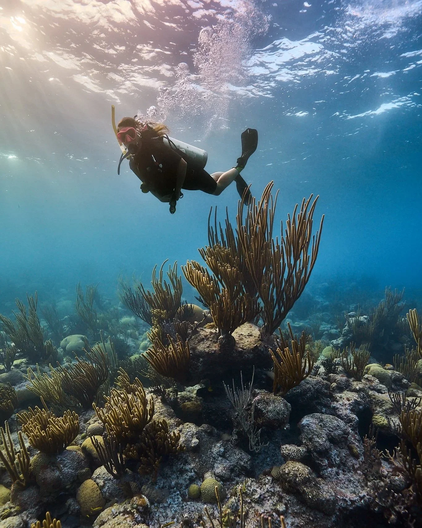 A person snorkeling underwater near coral reefs on a sunny day.