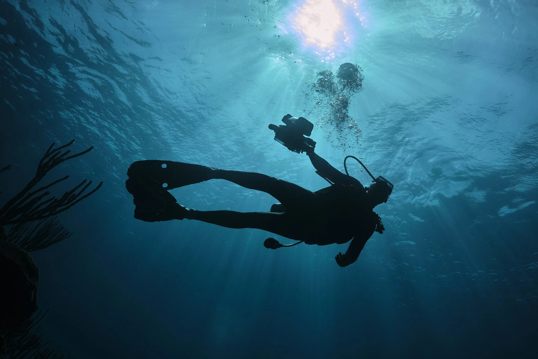 Silhouette of a scuba diver swimming underwater towards sunlight with rays visible, near underwater plants.