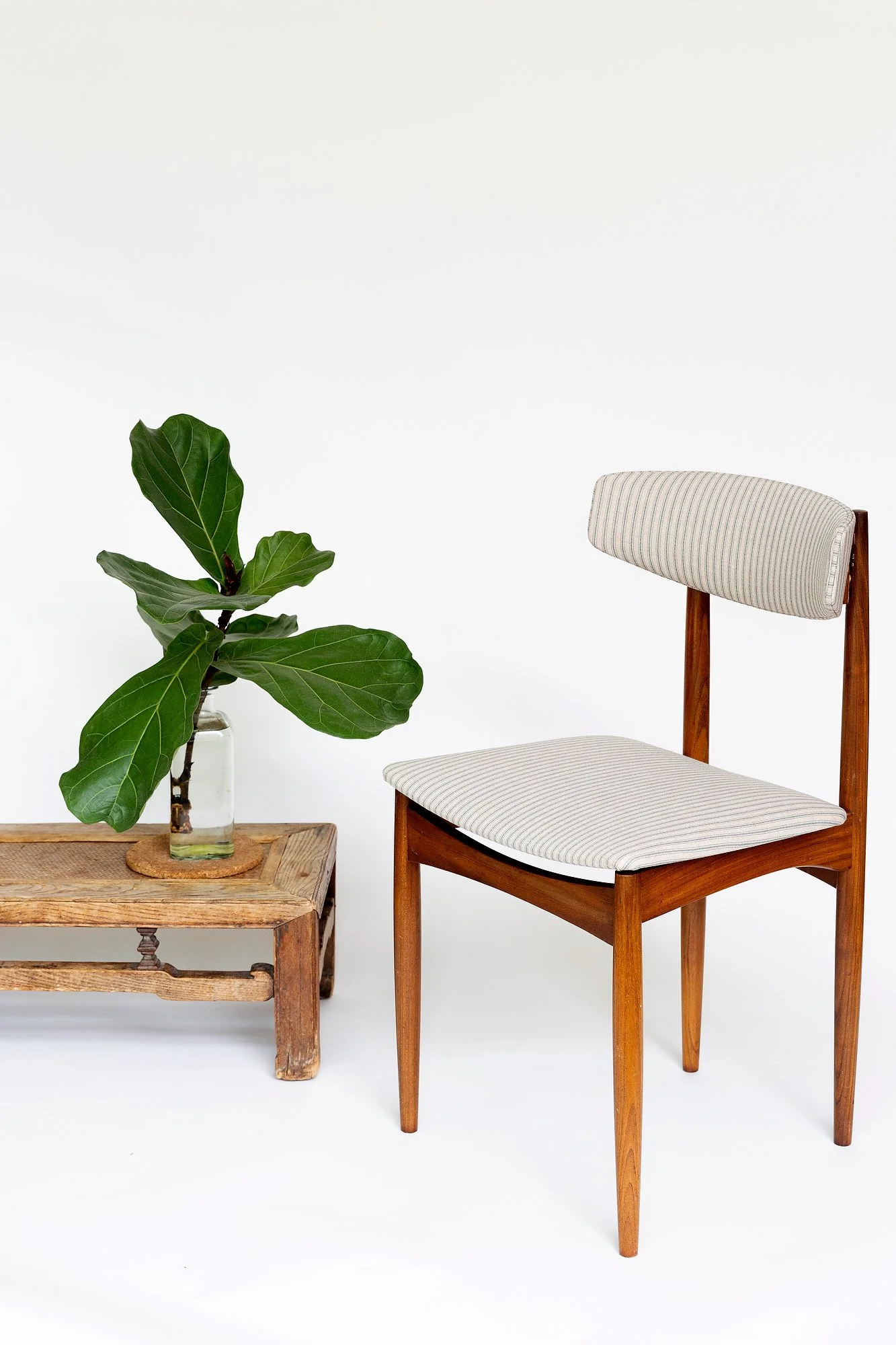 Photography for websites, website, branding, marketing, PR, Press, content, social media. Photographer. Still life, product, studio, photo shoot, photoshoot. London Photographer