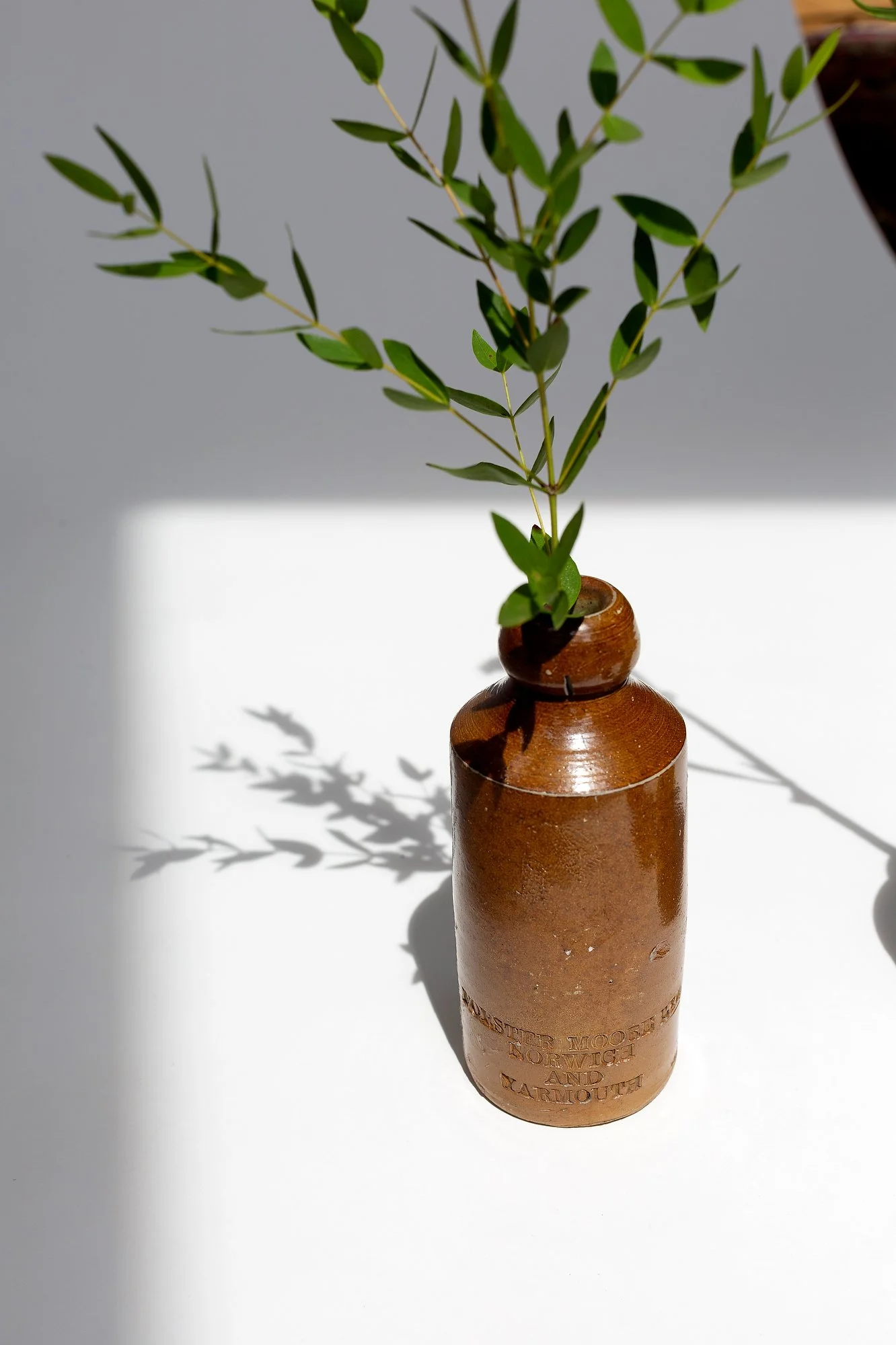 Photography for websites, website, branding, marketing, PR, Press, content, social media. Photographer. Still life, product, studio, photo shoot, photoshoot. London Photographer