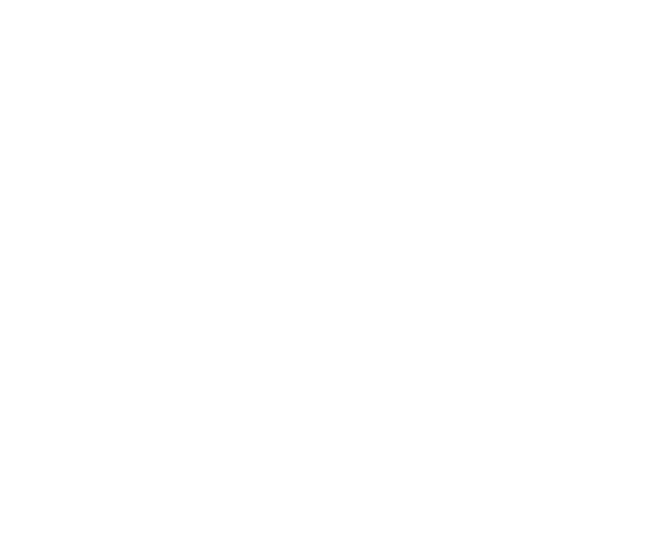 Black Dog Homes