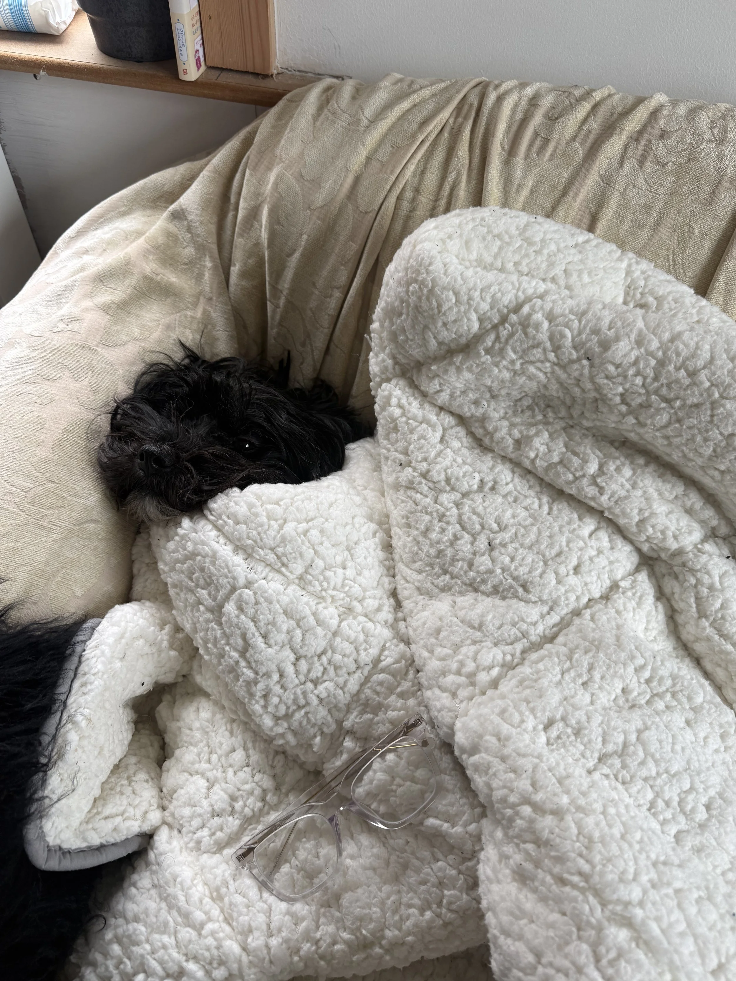 Sometimes we all need a little minding