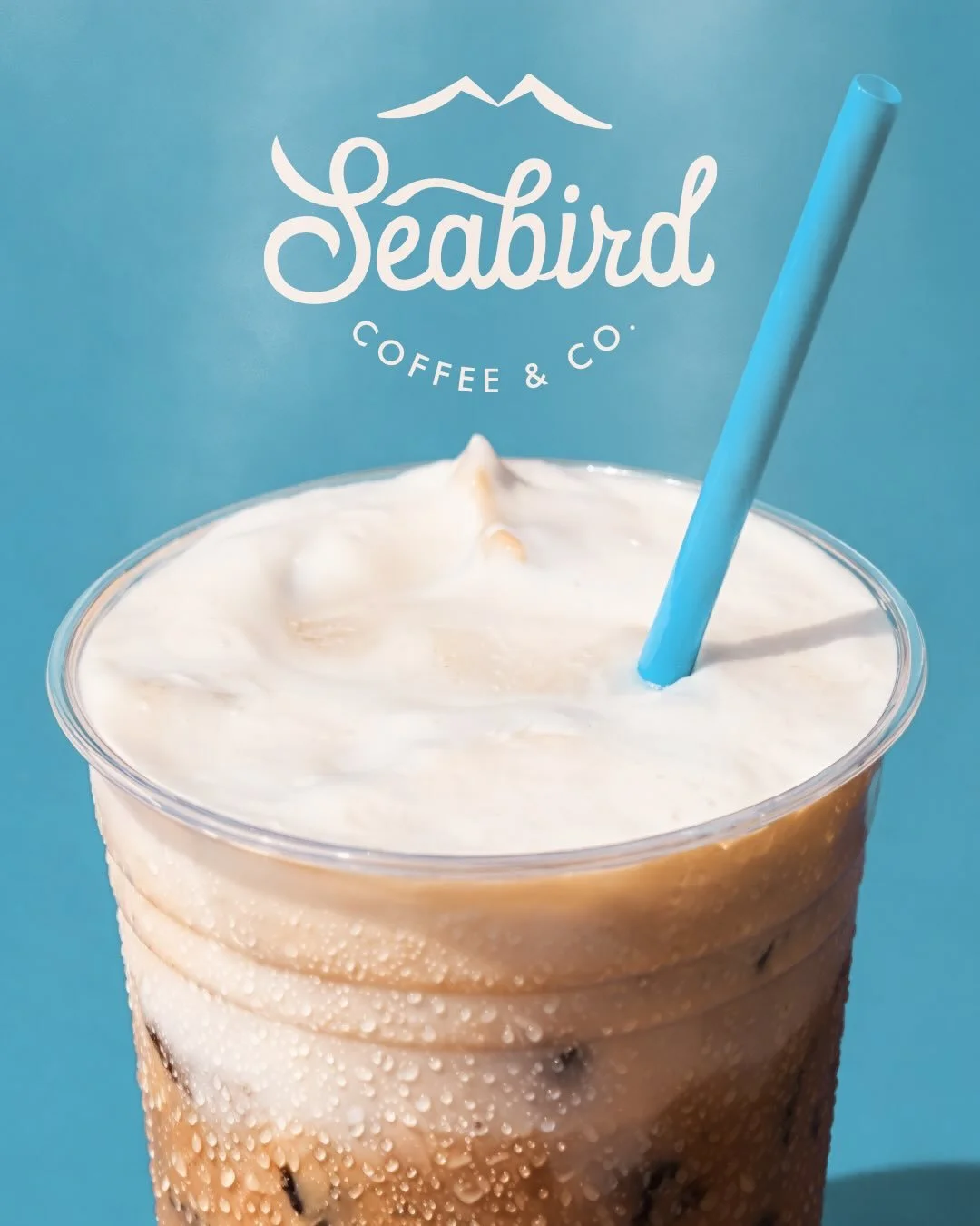 Cold Foam season is here 🫐☁️ Swing by and try something from our Spring Menu!