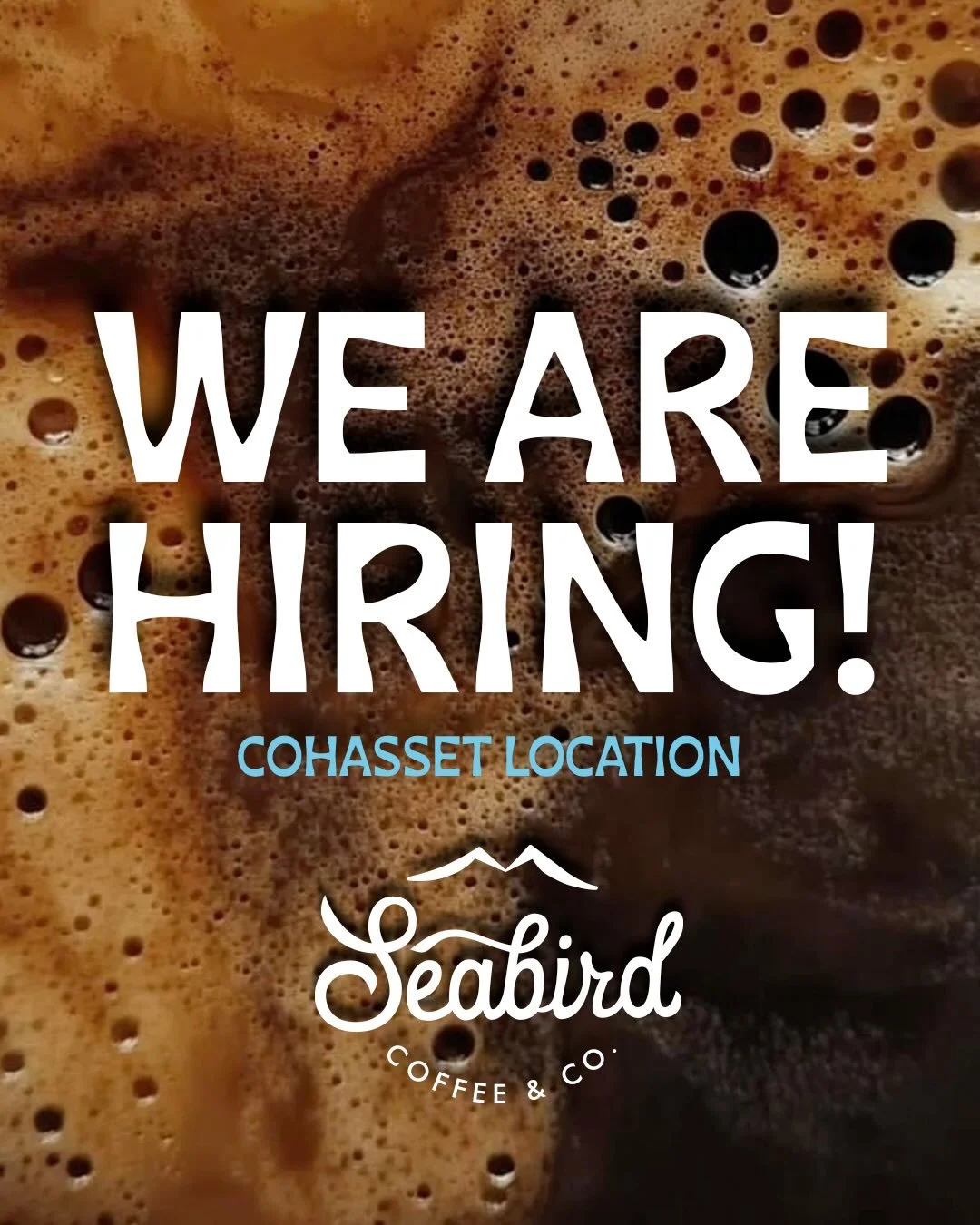 DM us or send your resume to seabirdhire@gmail.com