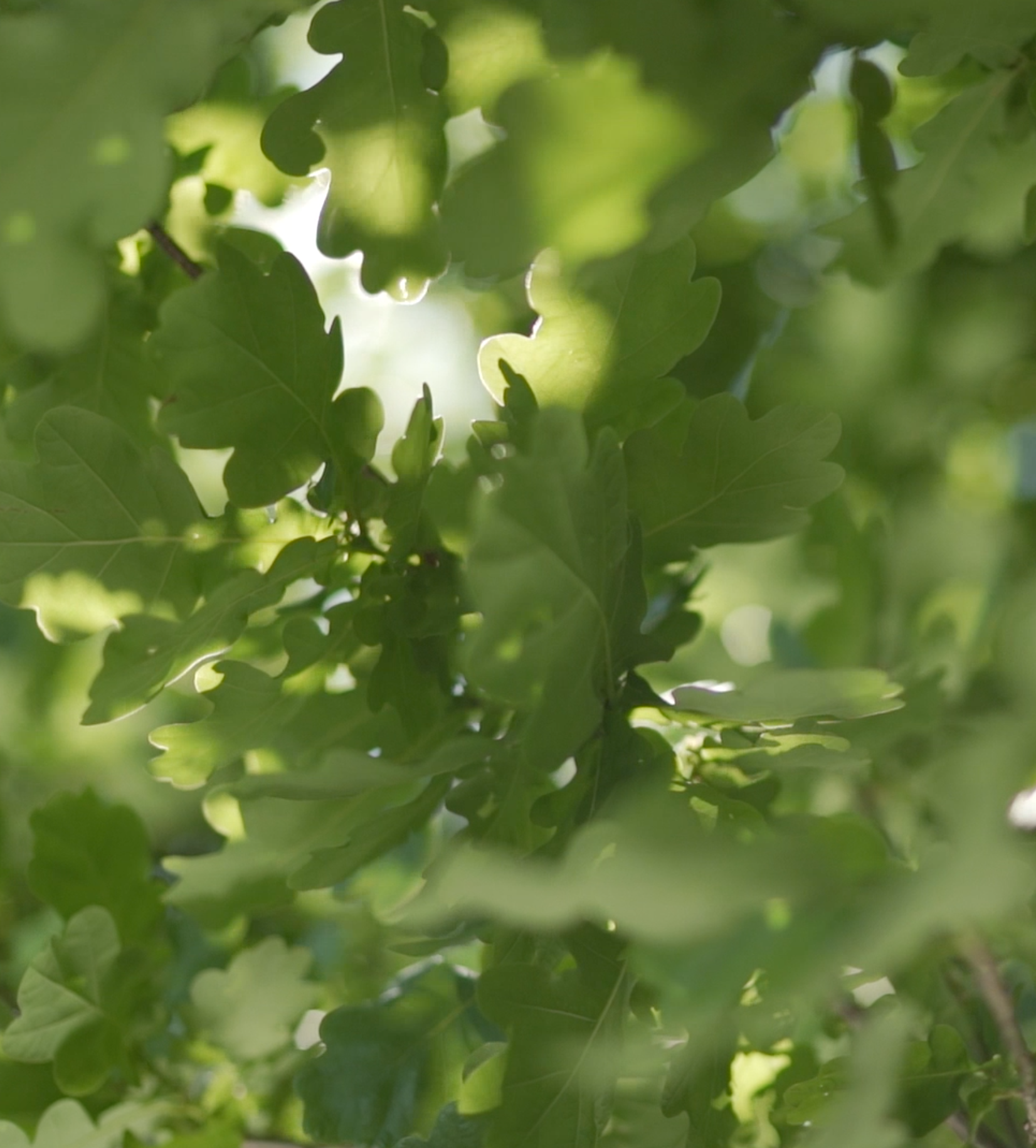 Screenshot 2026-02-25 at 10.30.19.png