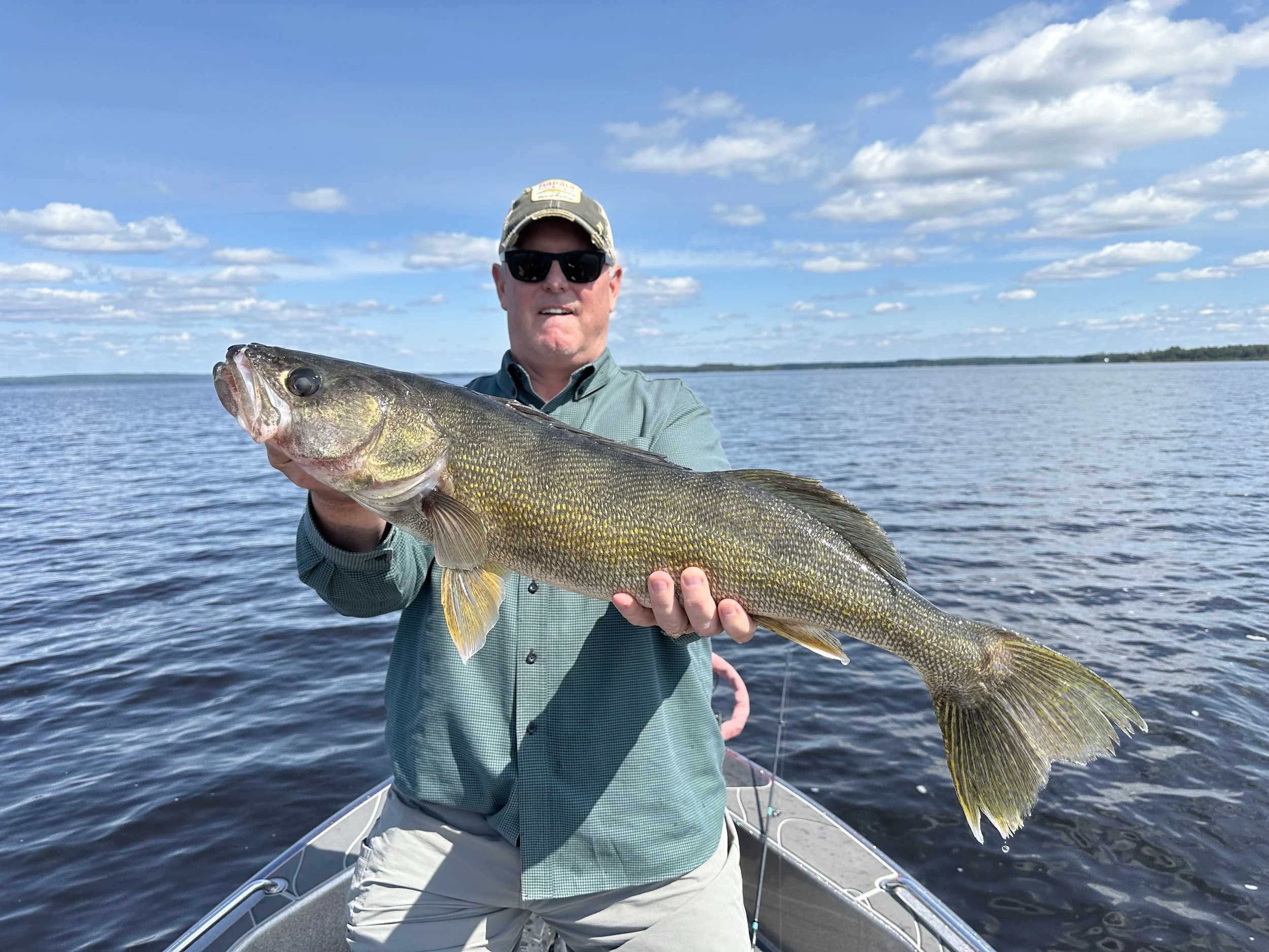 Man wearing sunglasses, a cap, and a green shirt holding a large fish, likely a bass, on a boat in a lake with a blue sky and white clouds.