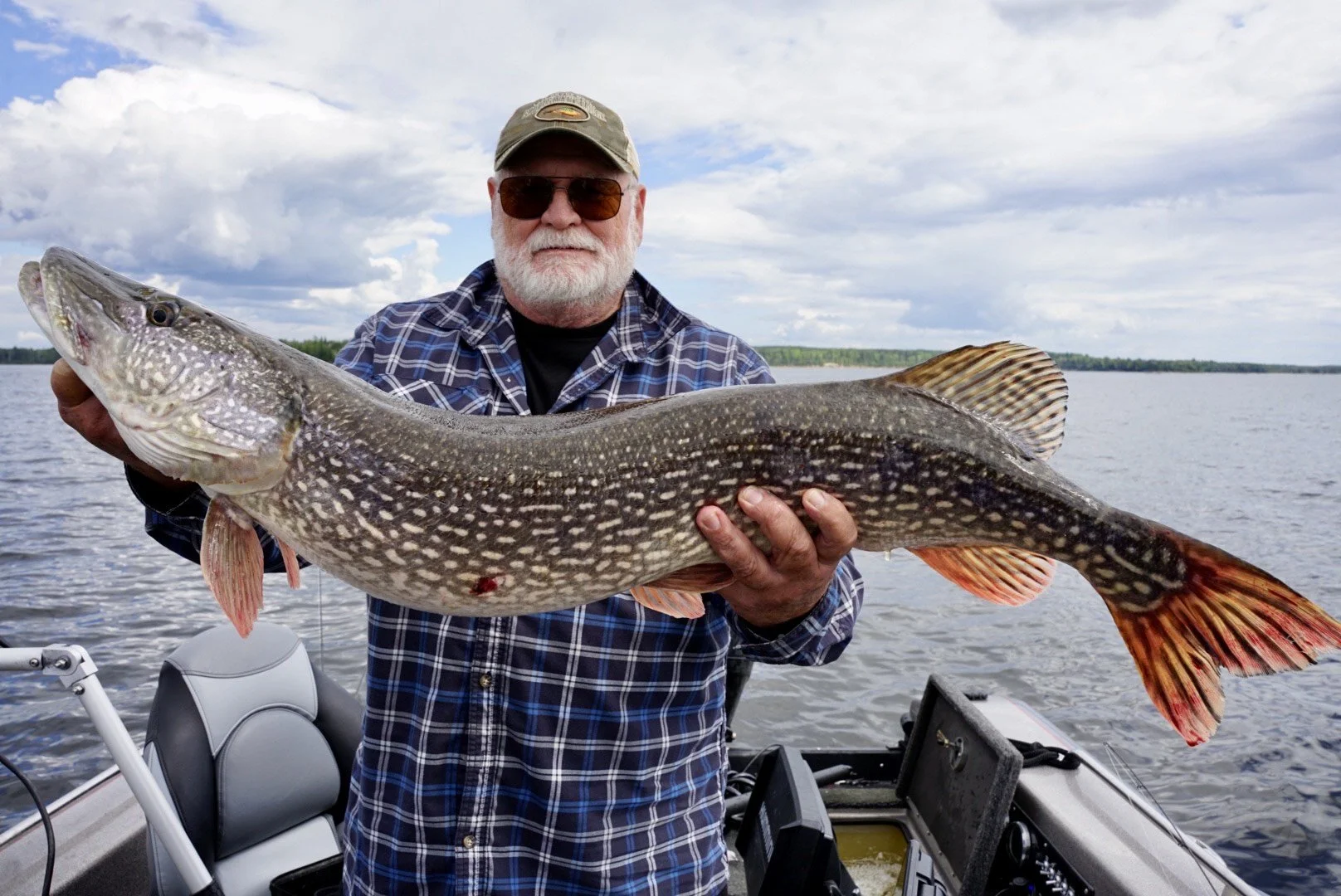 A man with a gray beard, sunglasses, and a plaid shirt holding a large fish on a boat in a lake.