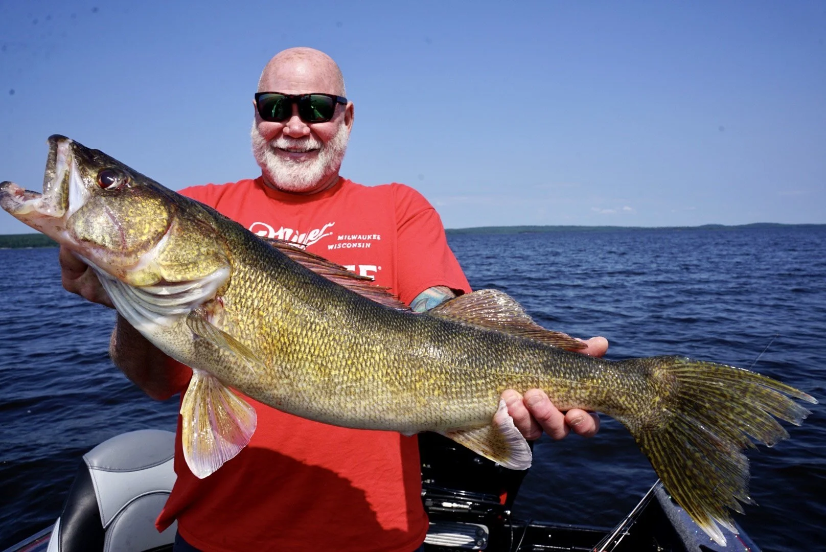A man with a gray beard, sunglasses, and a red shirt holding a large fish on a boat in a body of water with a distant shoreline and blue sky.