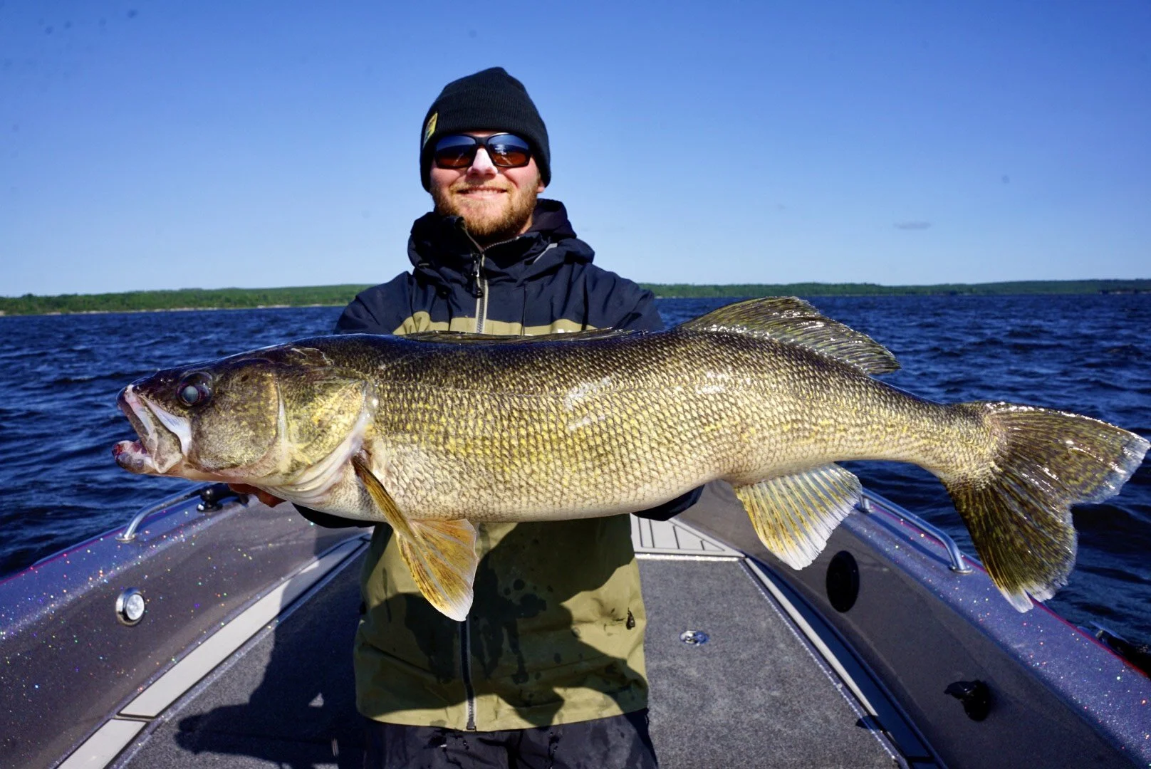 A man on a boat holding a large fish, with water and a distant shoreline in the background.