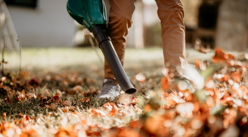 Leaf Removal and Disposal