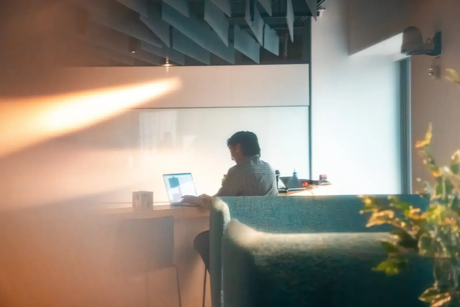A person working on a laptop at a desk in a modern office with large windows and indoor plants.