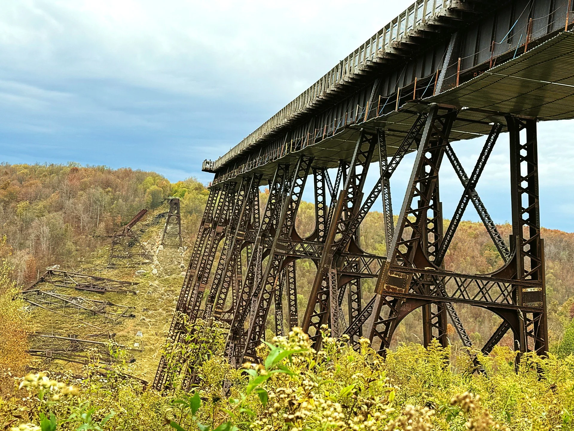 A Road Trip Through Pennsylvania’s Wild Side: Waterfalls, Forest Roads &amp; Elk Country