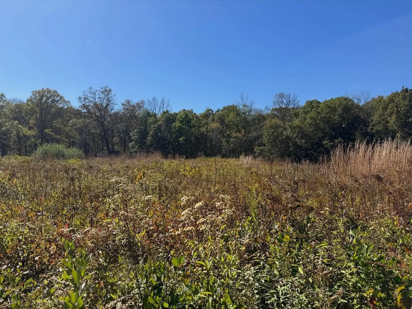 #jenningsphotoproject