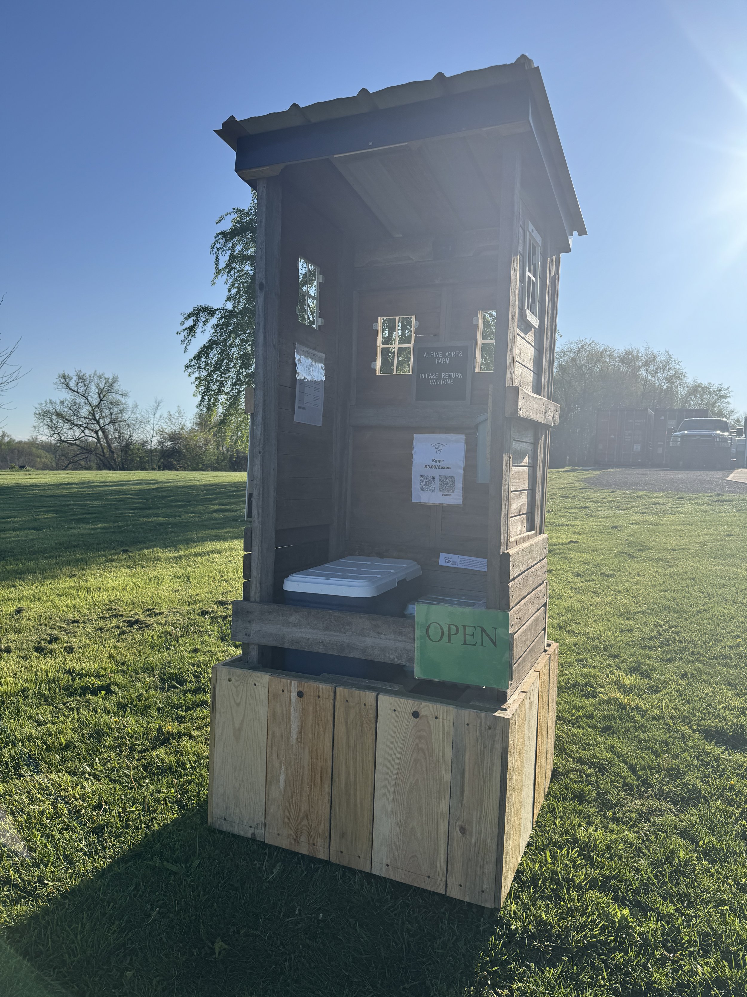  From Coop to Curb: The Simple Magic of the Roadside Egg Stand