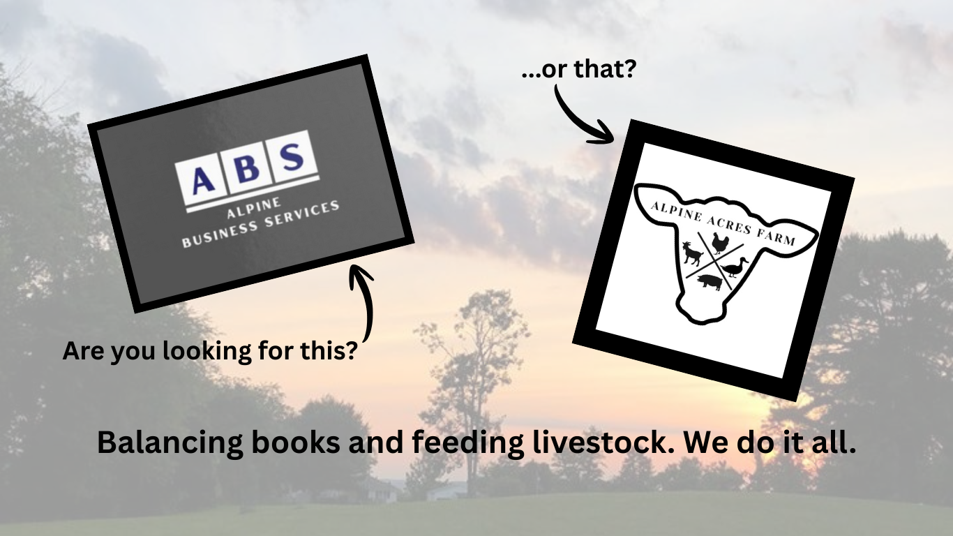 A promotional graphic with a background of a landscape at sunset, featuring two tilted logos: one for Alpine Business Services with text on a gray background, and another for Alpine Acres Farm with a farm animal silhouette inside an outline of Texas. The graphic contains text asking if the viewer is looking for the business services logo, a question about the farm logo, and a statement about balancing books and feeding livestock.