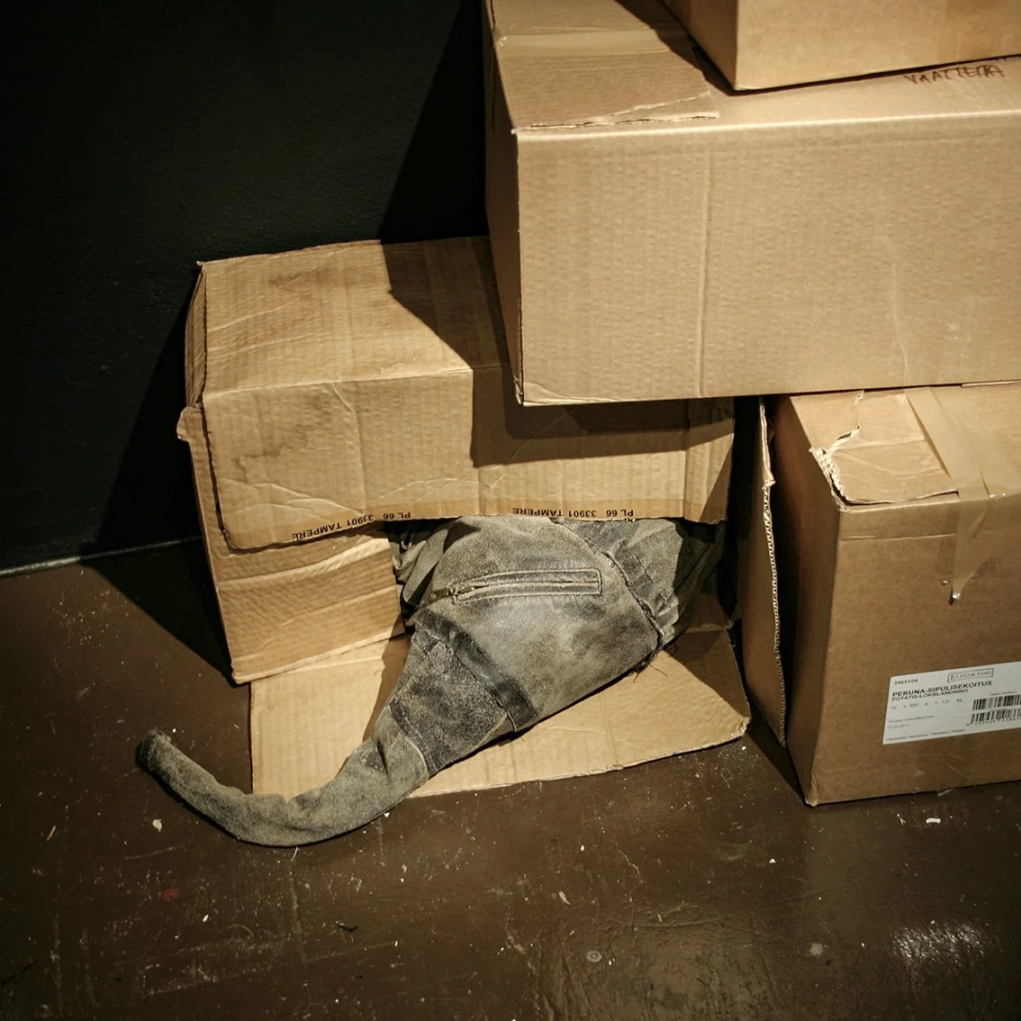 Modial from Alinen at Rajatila Gallery 2010