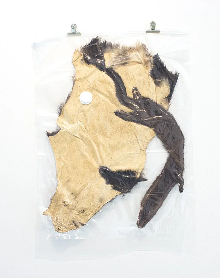 Tamed Badger and Mink