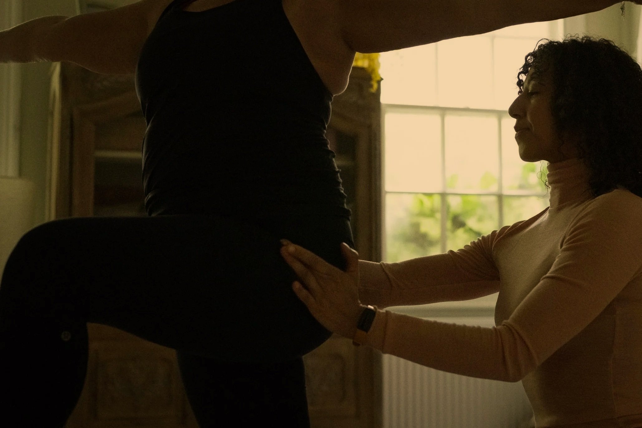 The Pelvis: Where Alignment, Stability, and Freedom Meet