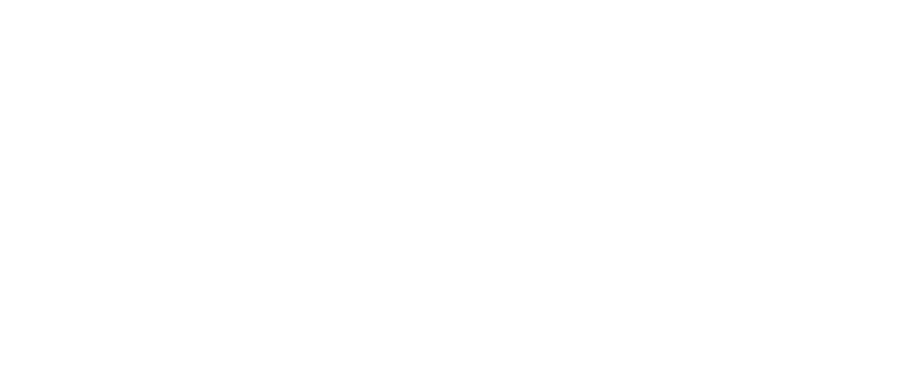 Text reading '$66 camera inspections' in white bold letters on a black background.