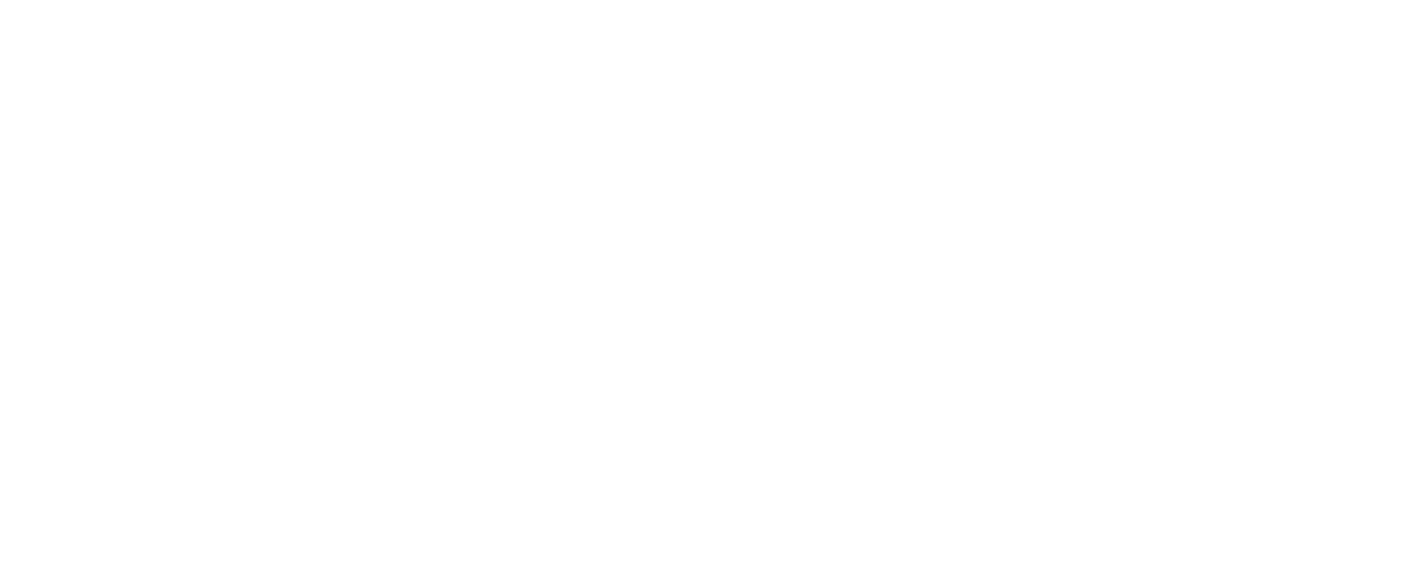 Text reading '$66 Camera Inspections' in bold white letters on a black background.