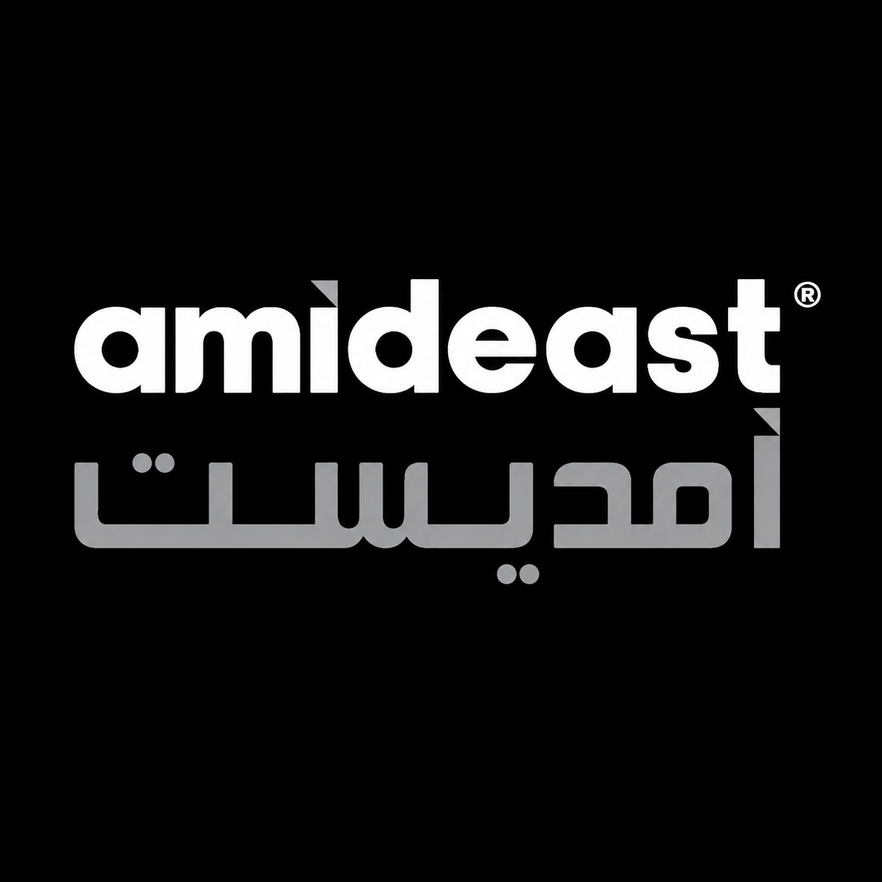 The logo of amideast with the name written in English and Arabic on a black background.