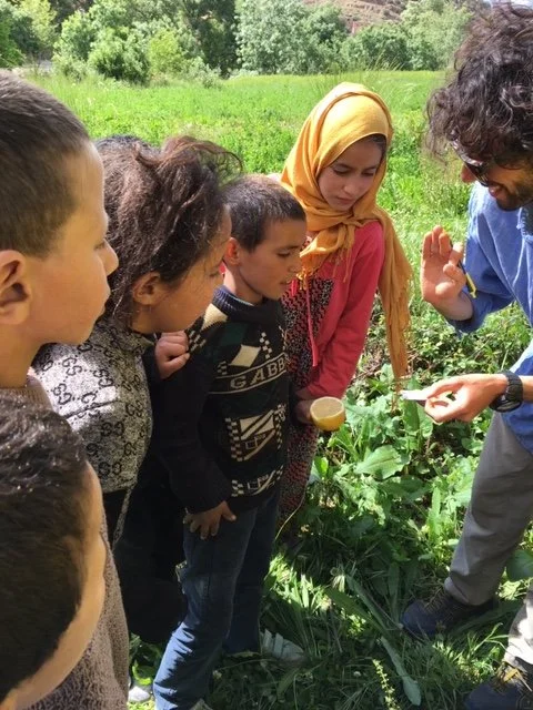 Community Gardens