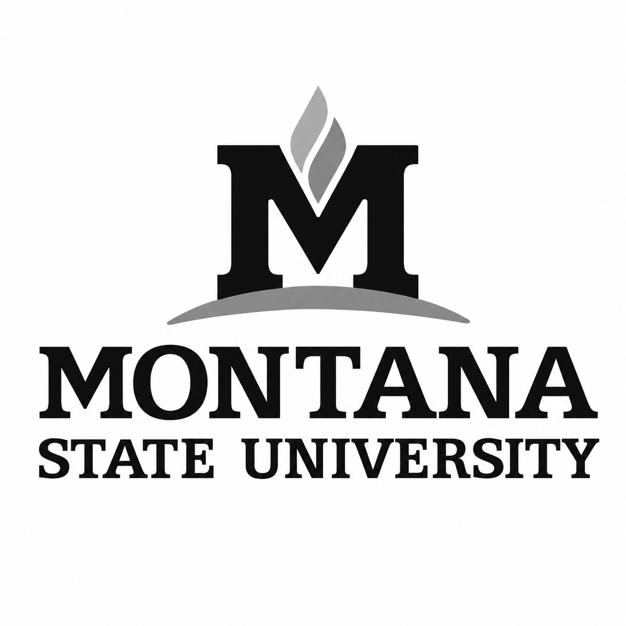 Black and gray logo of Montana State University featuring a large letter M with a stylized flame above it and a curved line beneath, with the text 'Montana State University' below.