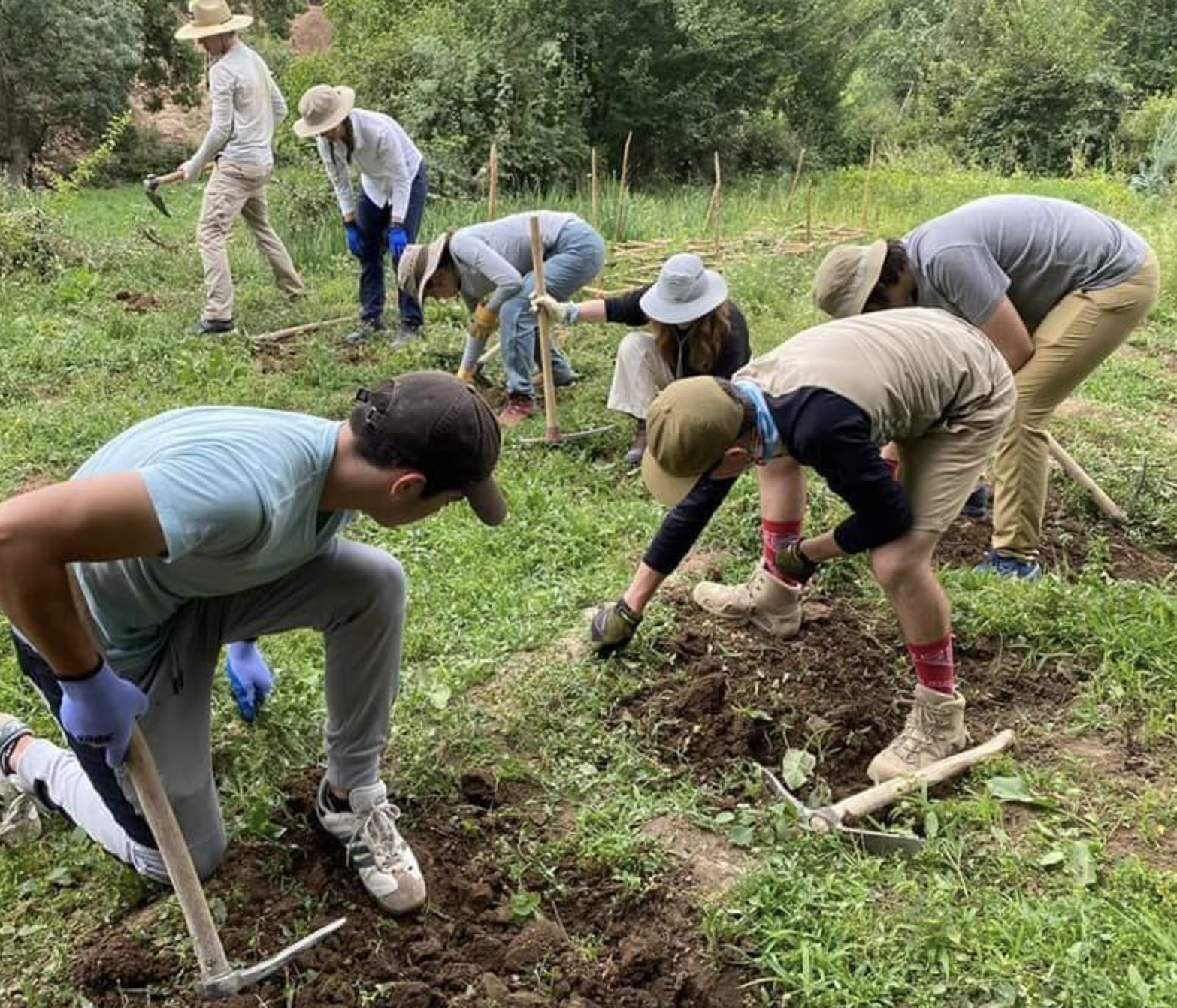 Group of people planting trees in a green outdoor area during daytime, wearing hats and gloves, some with shovels, working together.