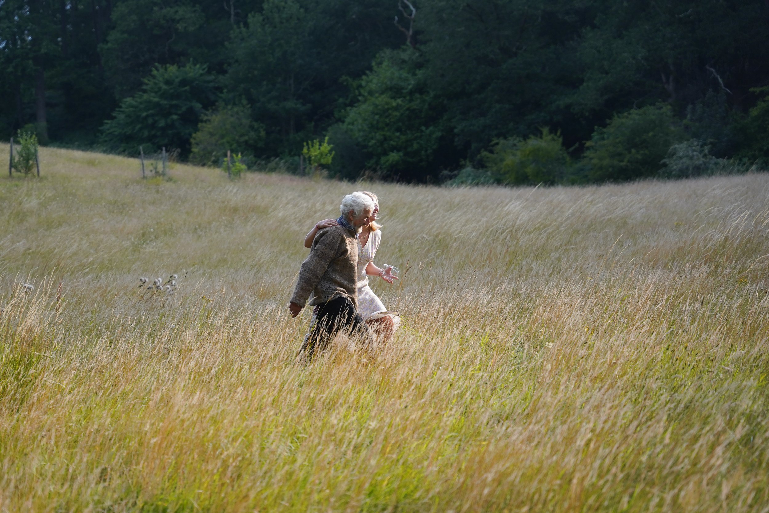 A Sunset Walk Through a Field