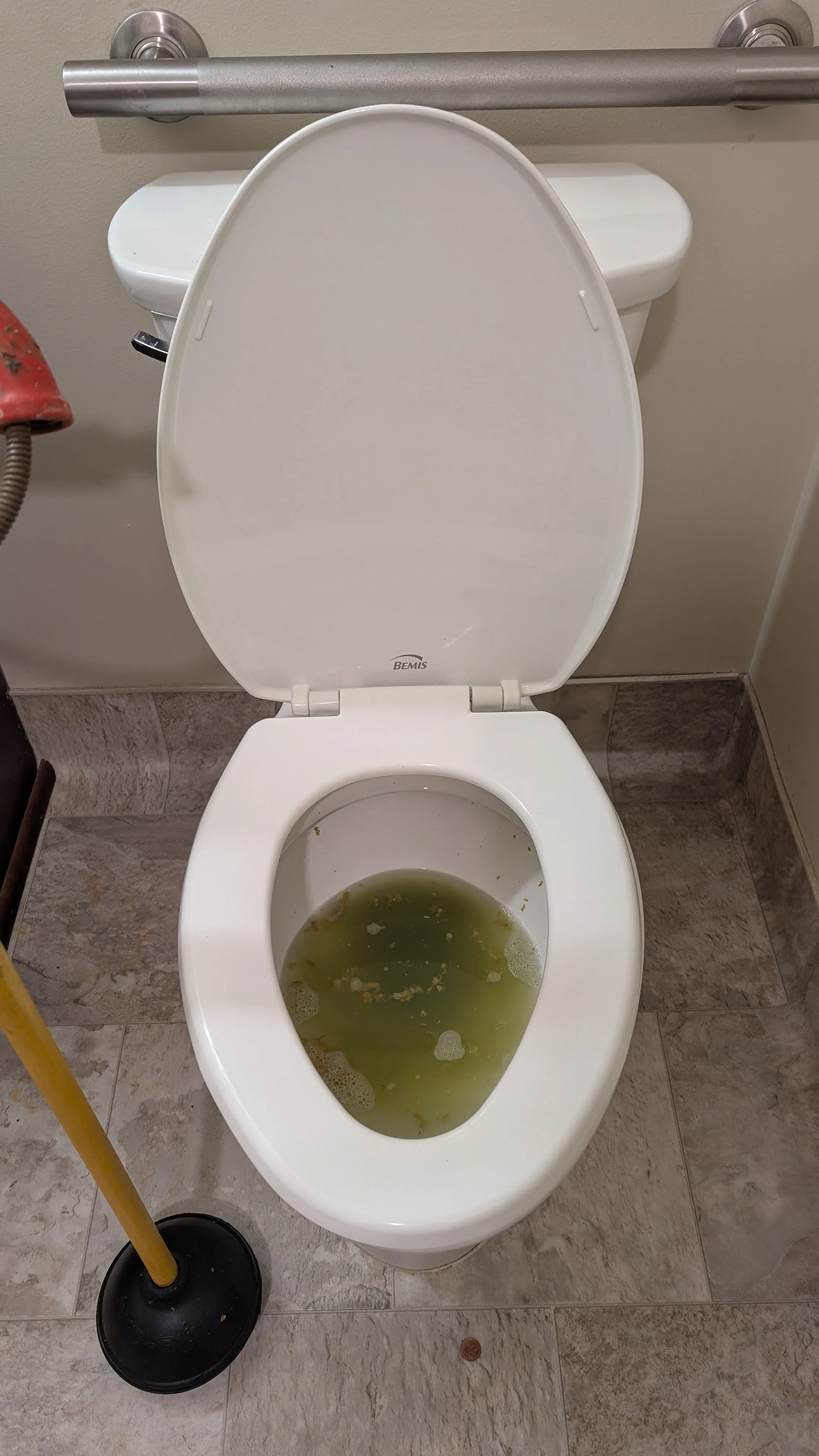 A toilet with the lid open, filled with dirty, greenish water and debris.