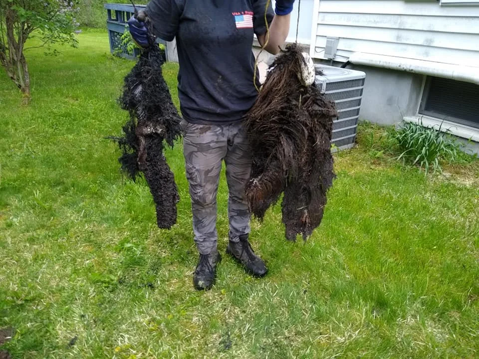 A person is standing on a grassy lawn, holding two large, dirty, and tangled chunks of what appears to be seaweed or moss, with their face not visible in the photo.